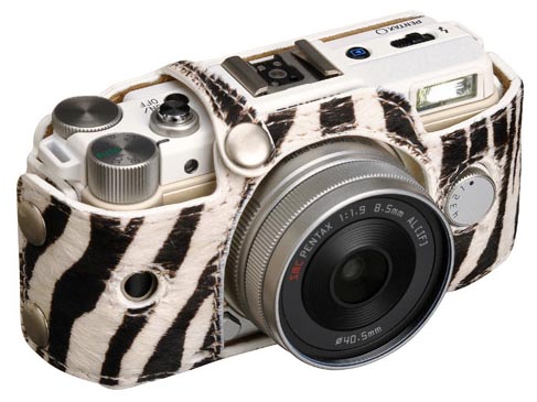 <b>ゼブラ（DBS-PQZB）</b>