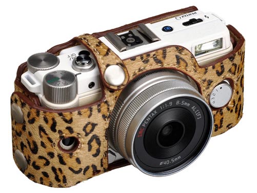 <b>ヒョウ（DBS-PQLP）</b>