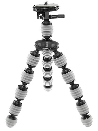 <b>写真はLサイズ</b>