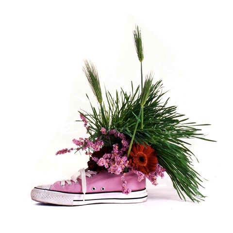 <b>(c)Bruse Osborn</b>