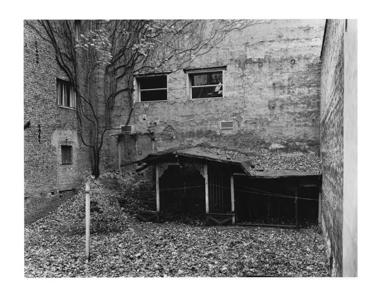 <b>（c）橋口譲二</b>