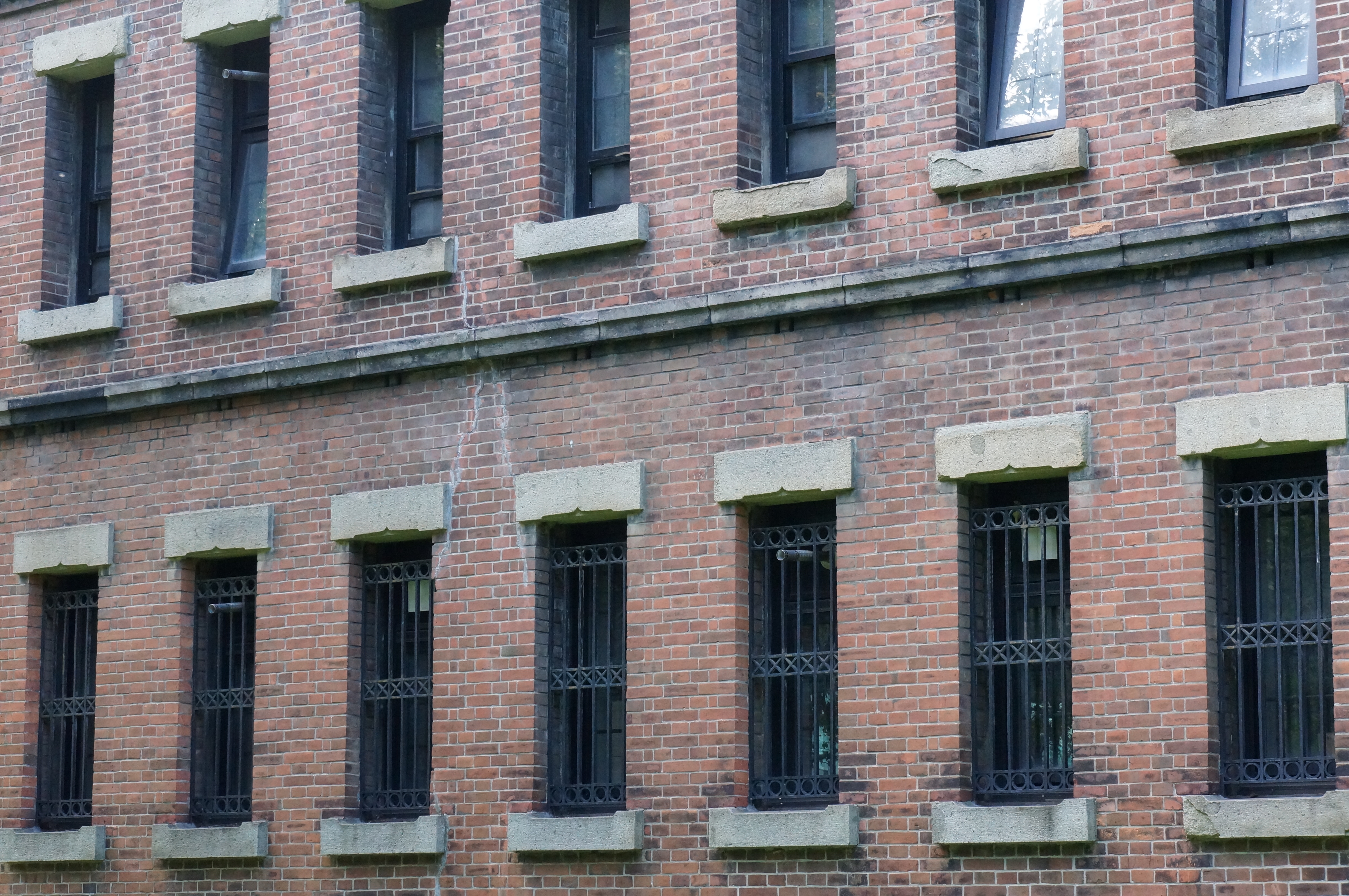 <b>ISO3200 / 高感度ノイズリダクション:標準 / NEX-5N / E 18-55mm F3.5-5.6 OSS / 4,912×3,264 / 絞り優先AE / 1/160秒 / F11 / 0.3EV / WB:太陽光 / 55mm</b>