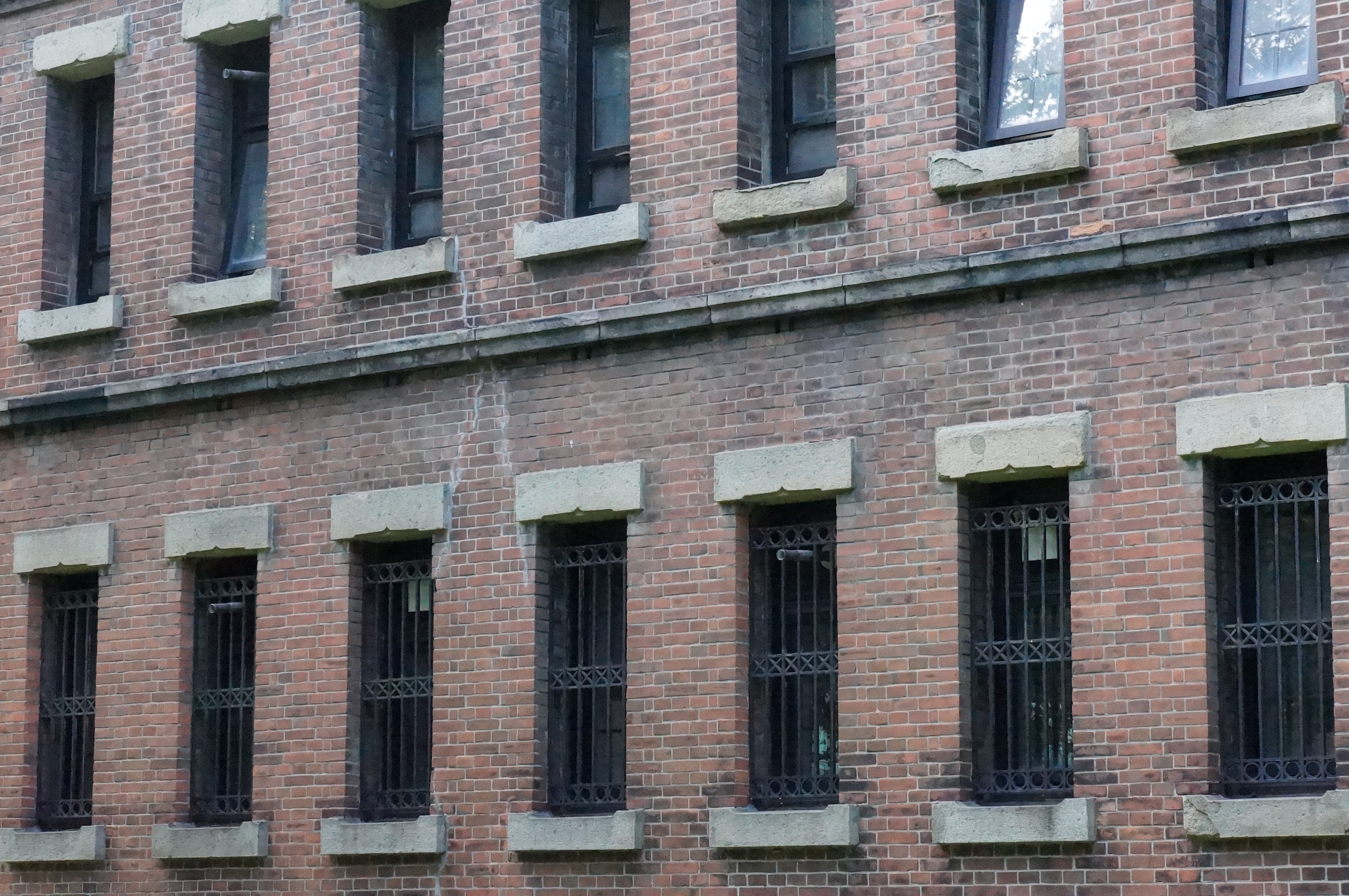 <b>ISO12800 / 高感度ノイズリダクション:標準 / NEX-5N / E 18-55mm F3.5-5.6 OSS / 4,912×3,264 / 絞り優先AE / 1/800秒 / F11 / 0.3EV / WB:太陽光 / 55mm</b>