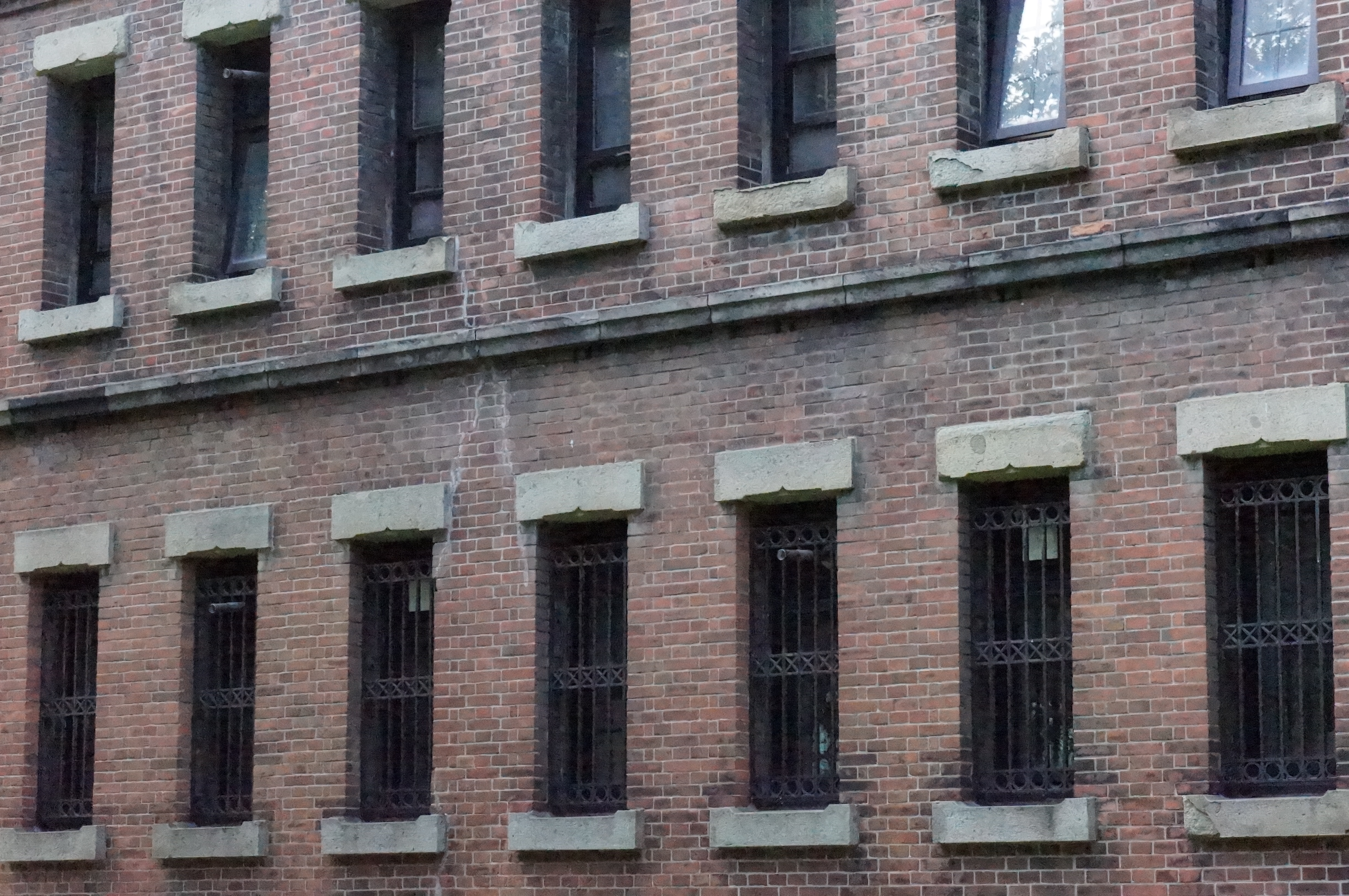 <b>ISO25600 / NEX-5N / E 18-55mm F3.5-5.6 OSS / 4,912×3,264 / 絞り優先AE / 1/1600秒 / F11 / 0.3EV / WB:太陽光 / 55mm</b>