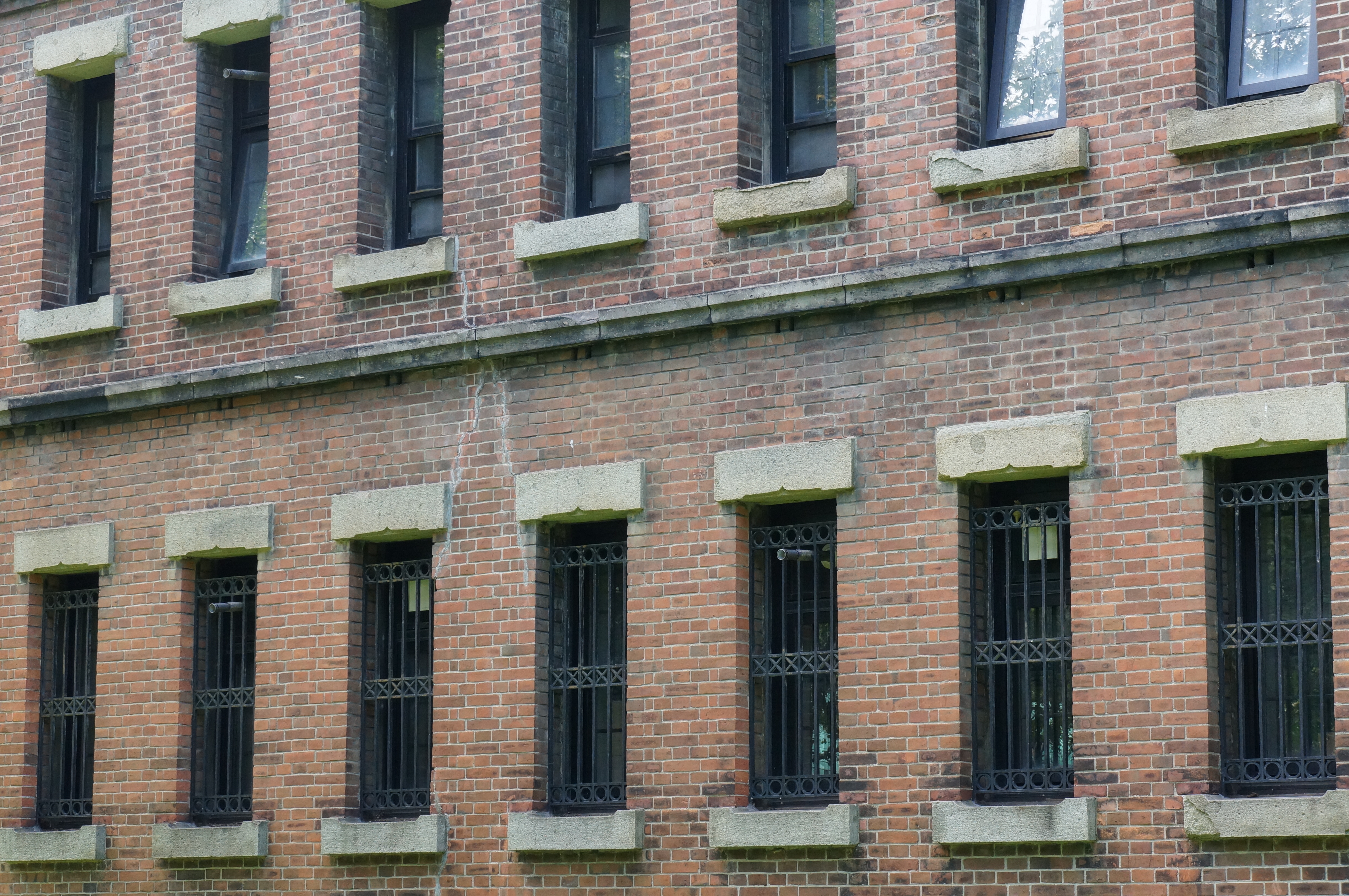 <b>ISO1600 / 高感度ノイズリダクション:弱 / NEX-5N / E 18-55mm F3.5-5.6 OSS / 4,912×3,264 / 絞り優先AE / 1/125秒 / F11 / 0.3EV / WB:太陽光 / 55mm</b>