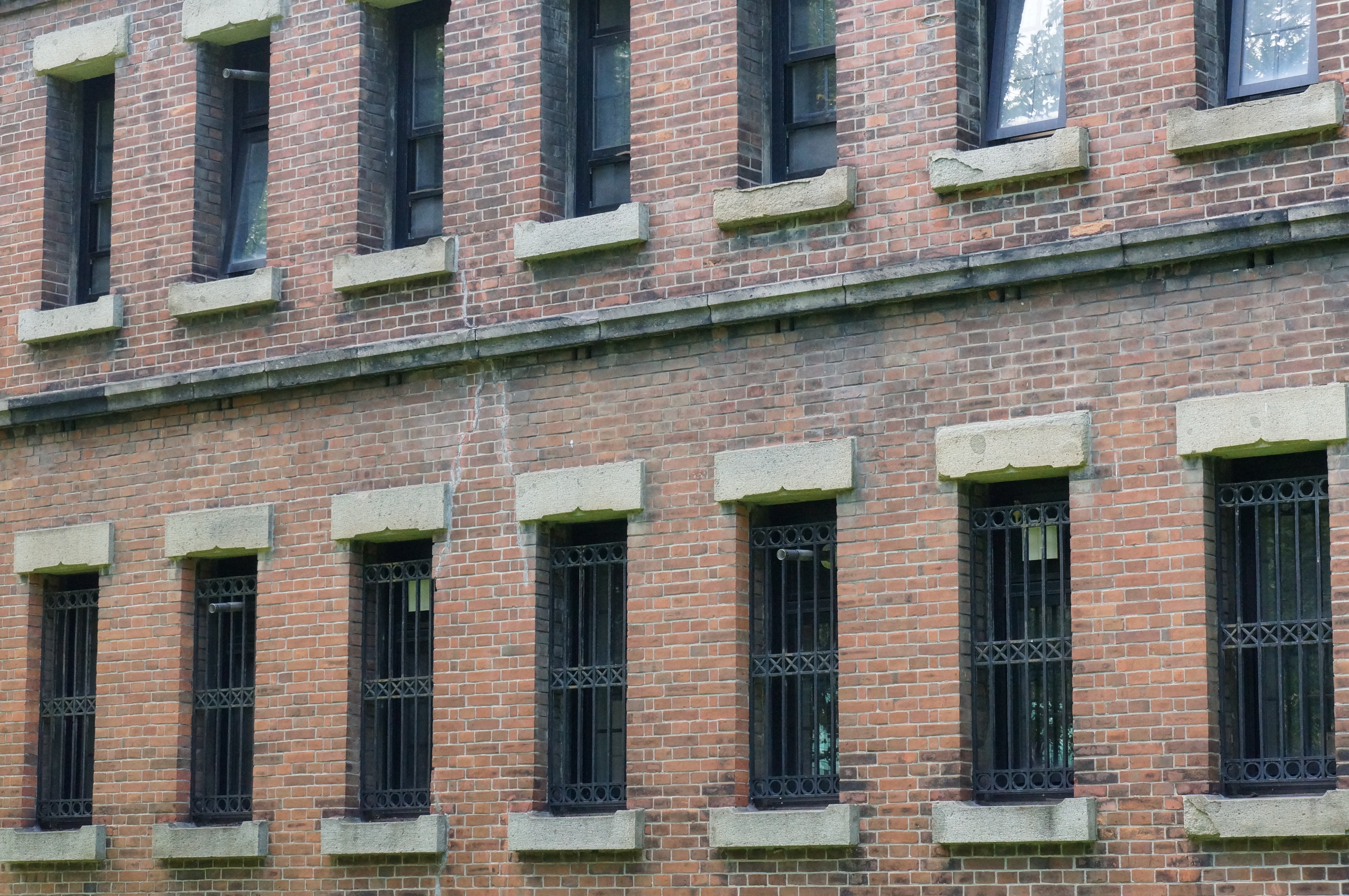 <b>ISO3200 / 高感度ノイズリダクション:弱 / NEX-5N / E 18-55mm F3.5-5.6 OSS / 4,912×3,264 / 絞り優先AE / 1/200秒 / F11 / 0.3EV / WB:太陽光 / 55mm</b>