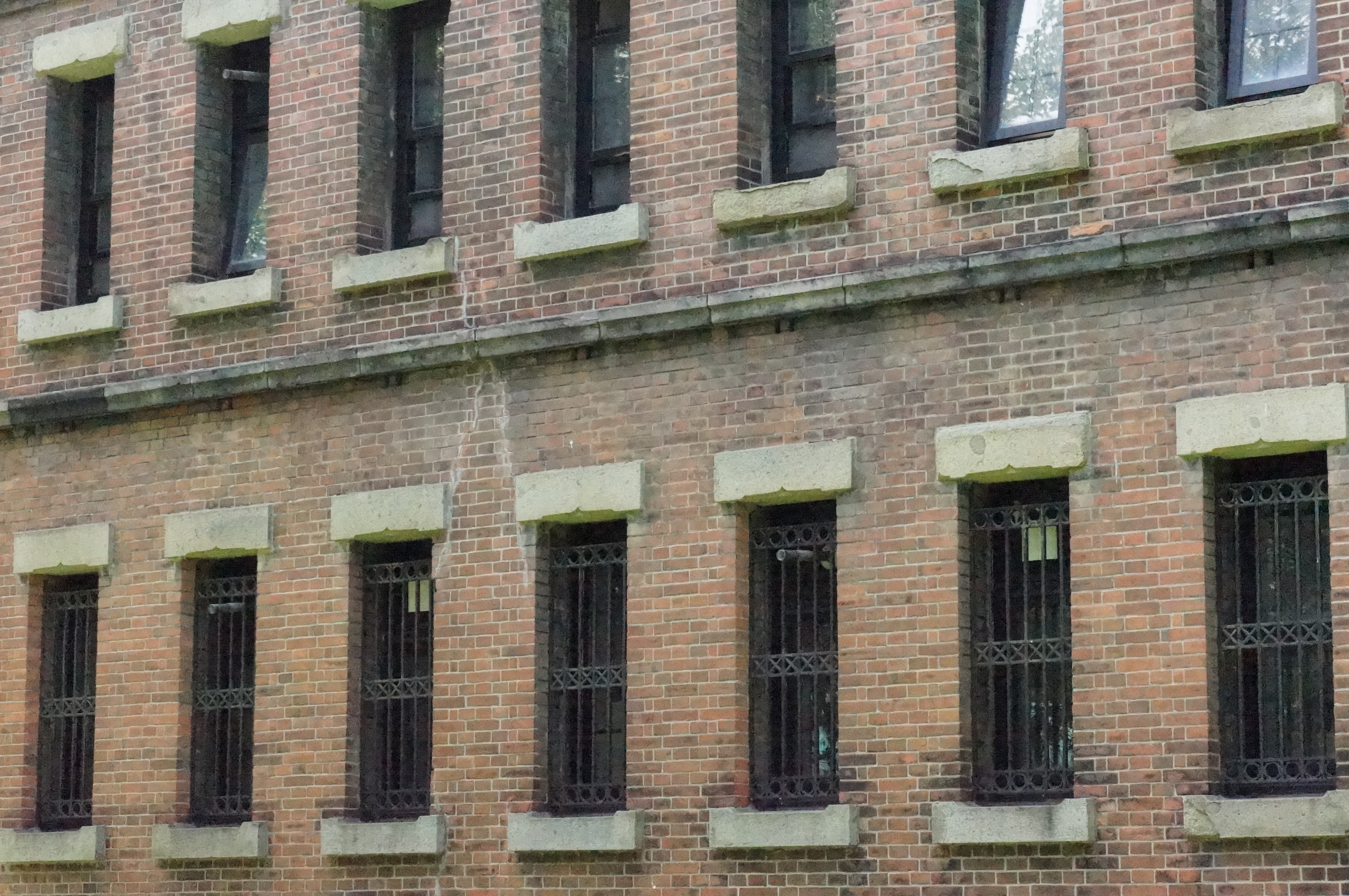 <b>ISO25600 / 高感度ノイズリダクション:弱 / NEX-5N / E 18-55mm F3.5-5.6 OSS / 4,912×3,264 / 絞り優先AE / 1/2000秒 / F11 / 0.3EV / WB:太陽光 / 55mm</b>