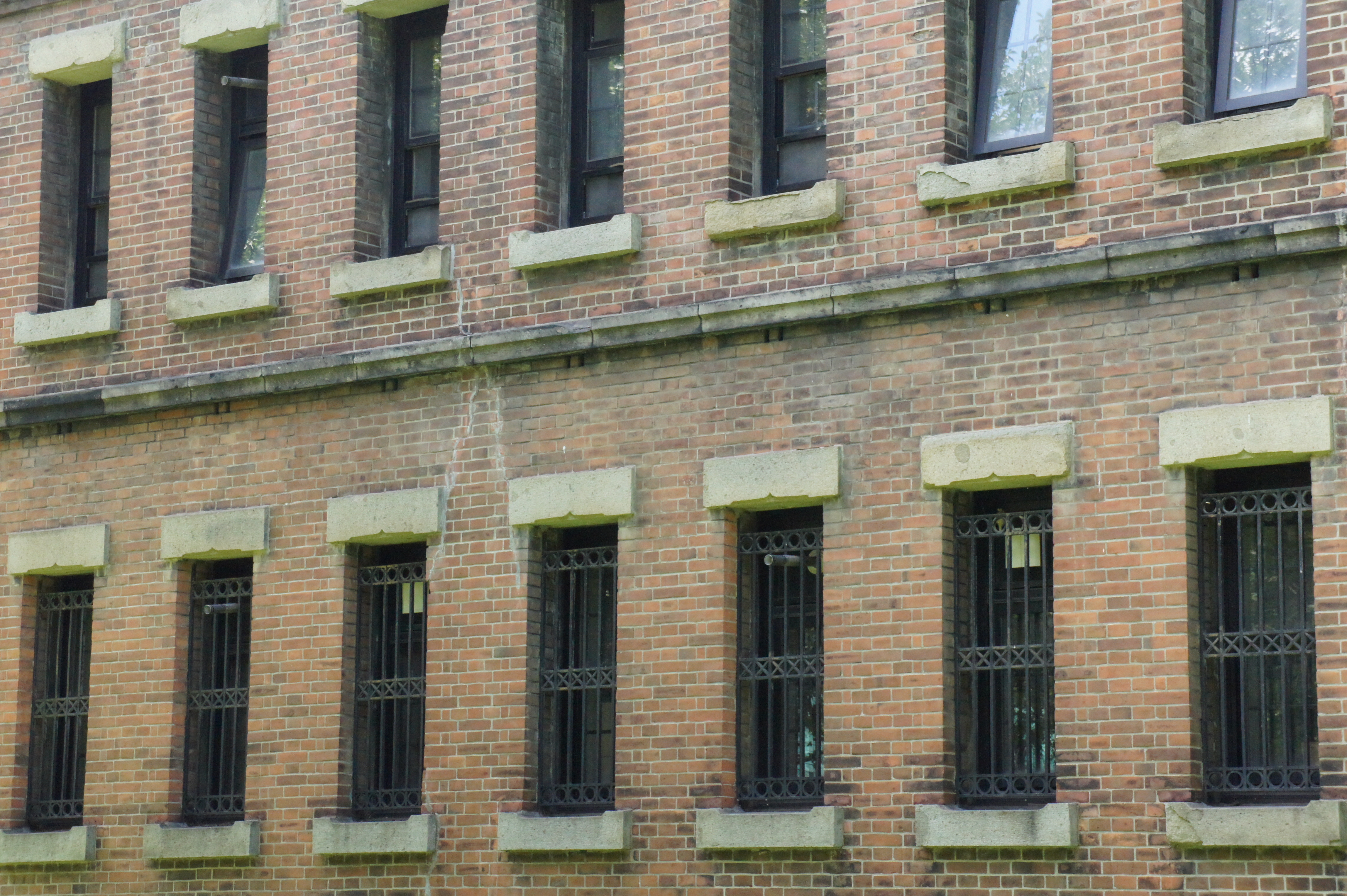 <b>（参考）ISO3200 / 高感度ノイズリダクション:標準 / NEX-5 / E 18-55mm F3.5-5.6 OSS / 4,592×3,056 / 絞り優先AE / 1/200秒 / F11 / -0.3EV / WB:太陽光 / 55mm</b>