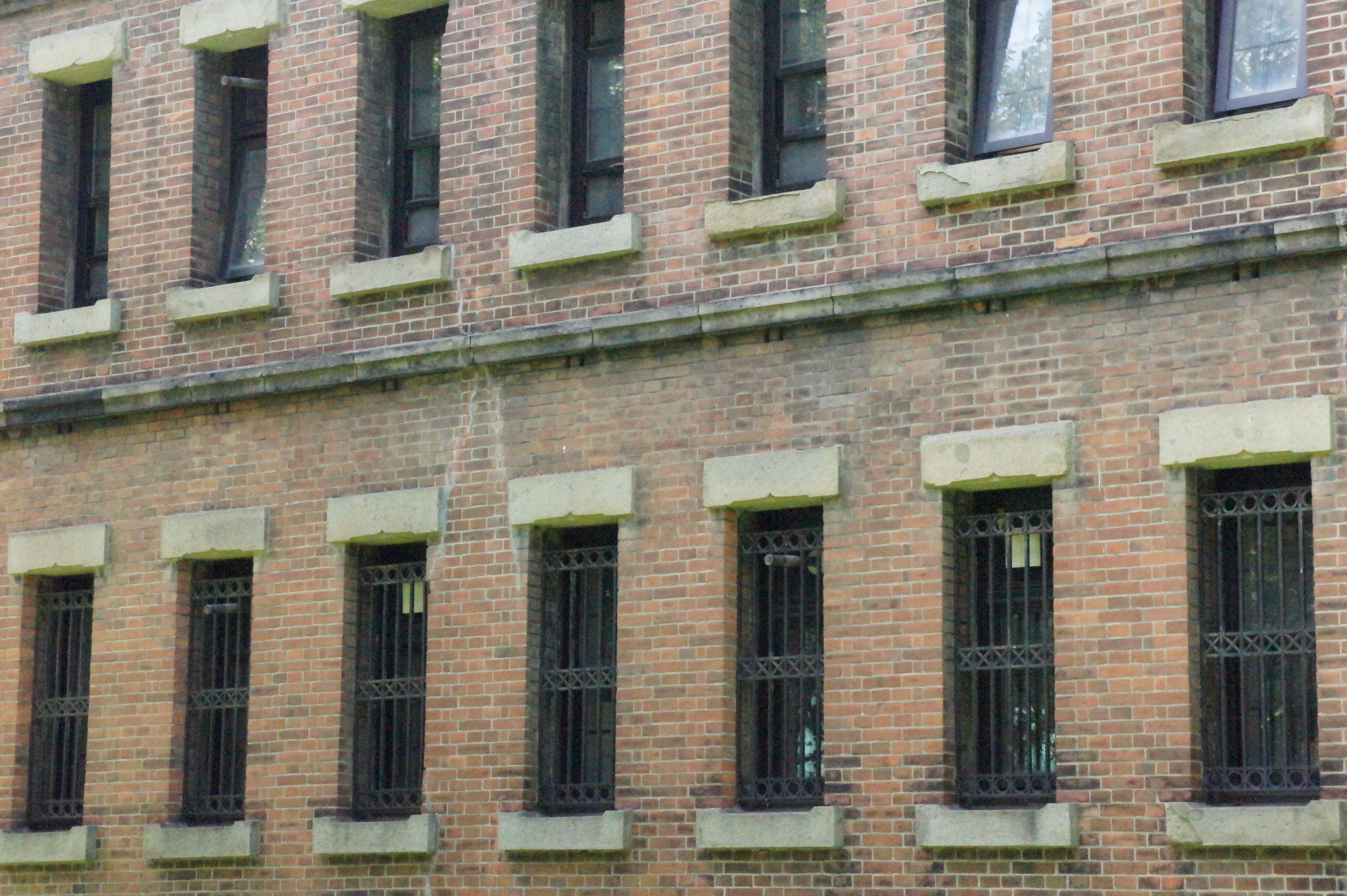 <b>（参考）ISO12800 / 高感度ノイズリダクション:標準 / NEX-5 / E 18-55mm F3.5-5.6 OSS / 4,592×3,056 / 絞り優先AE / 1/800秒 / F11 / -0.3EV / WB:太陽光 / 55mm</b>