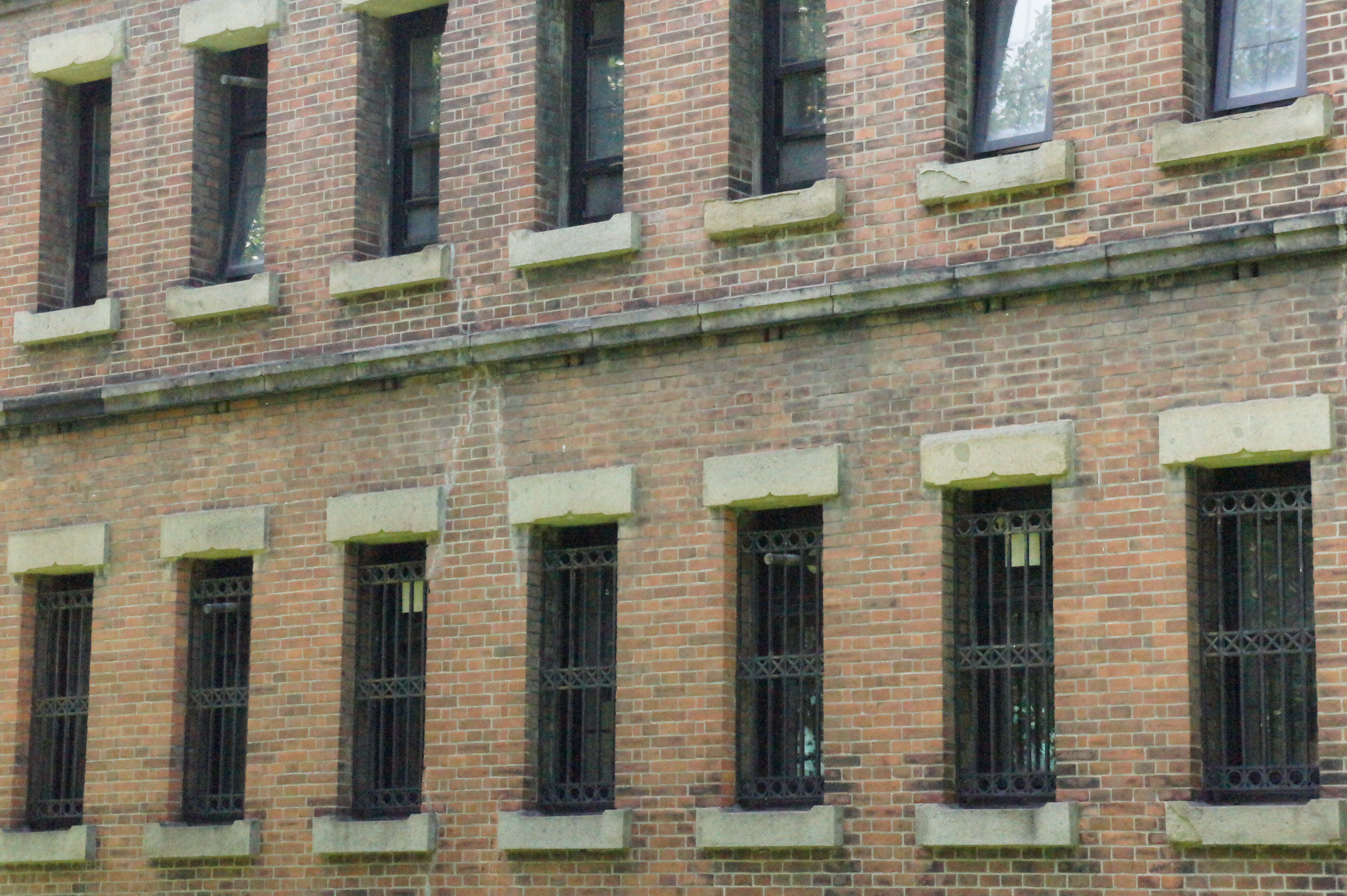 <b>（参考）ISO12800 / 高感度ノイズリダクション:弱 / NEX-5 / E 18-55mm F3.5-5.6 OSS / 4,592×3,056 / 絞り優先AE / 1/1000秒 / F11 / -0.3EV / WB:太陽光 / 55mm</b>