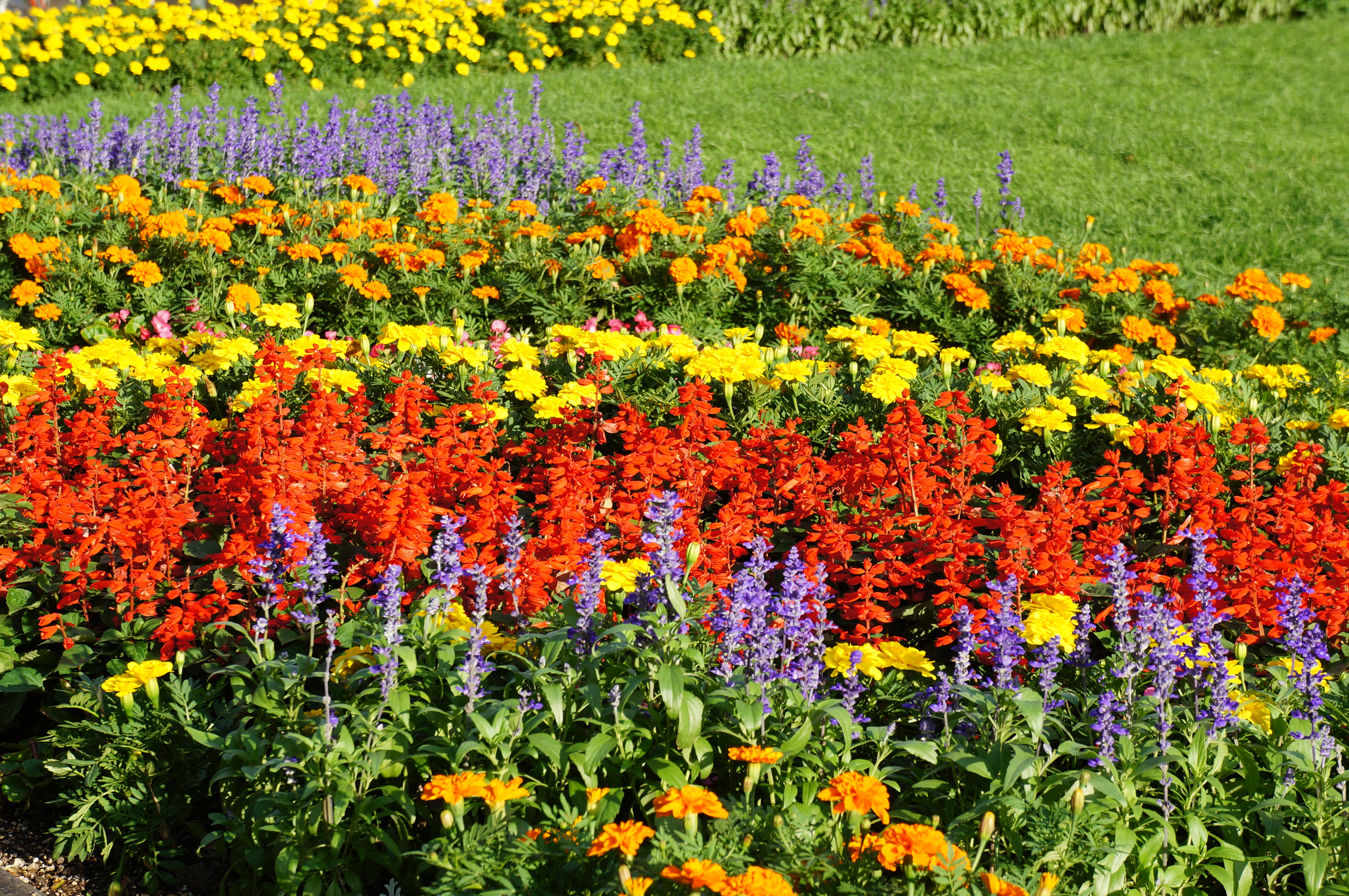 <b>クリエイティブスタイル:風景 / NEX-5N / E 18-55mm F3.5-5.6 OSS / 4,912×3,264 / 絞り優先AE / 1/125秒 / F8 / 1.0EV / ISO100 / WB:太陽光 / 55mm</b>