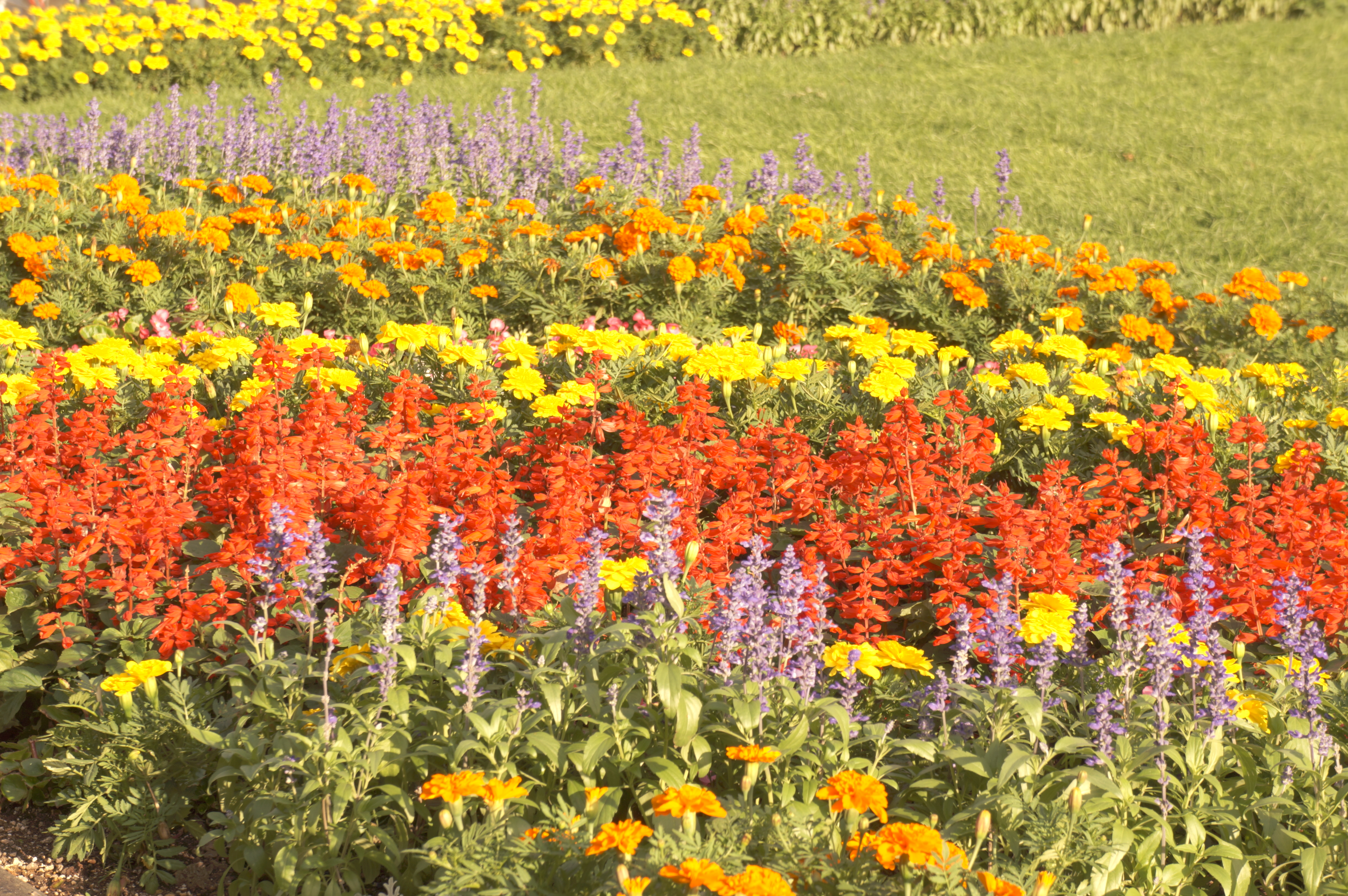 <b>ピクチャーエフェクト:レトロ / NEX-5N / E 18-55mm F3.5-5.6 OSS / 4,912×3,264 / 絞り優先AE / 1/125秒 / F8 / 1.0EV / ISO100 / WB:太陽光 / 55mm</b>