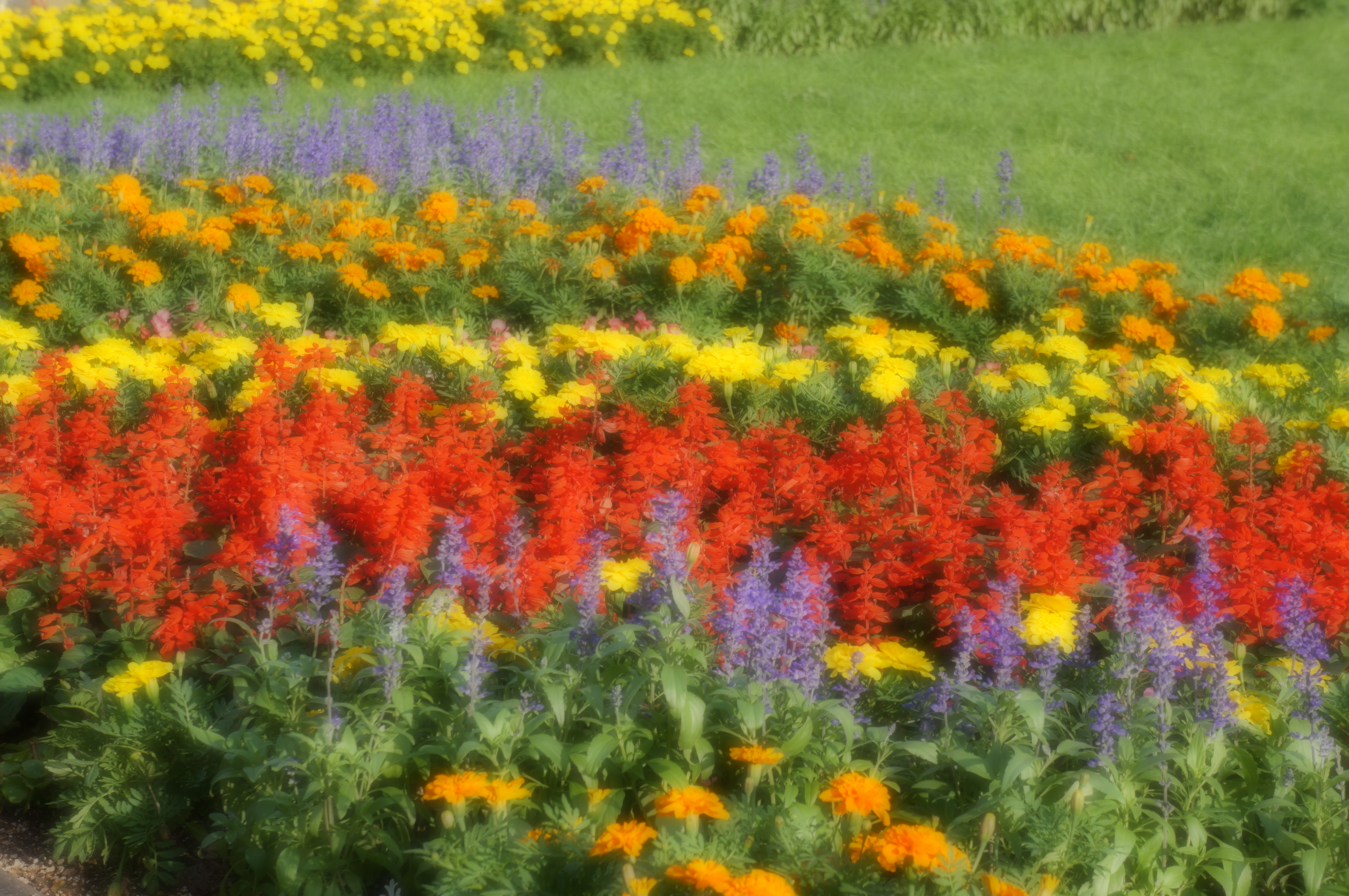 <b>ピクチャーエフェクト:ソフトフォーカス:中 / NEX-5N / E 18-55mm F3.5-5.6 OSS / 4,912×3,264 / 絞り優先AE / 1/100秒 / F8 / 1.0EV / ISO100 / WB:太陽光 / 55mm</b>