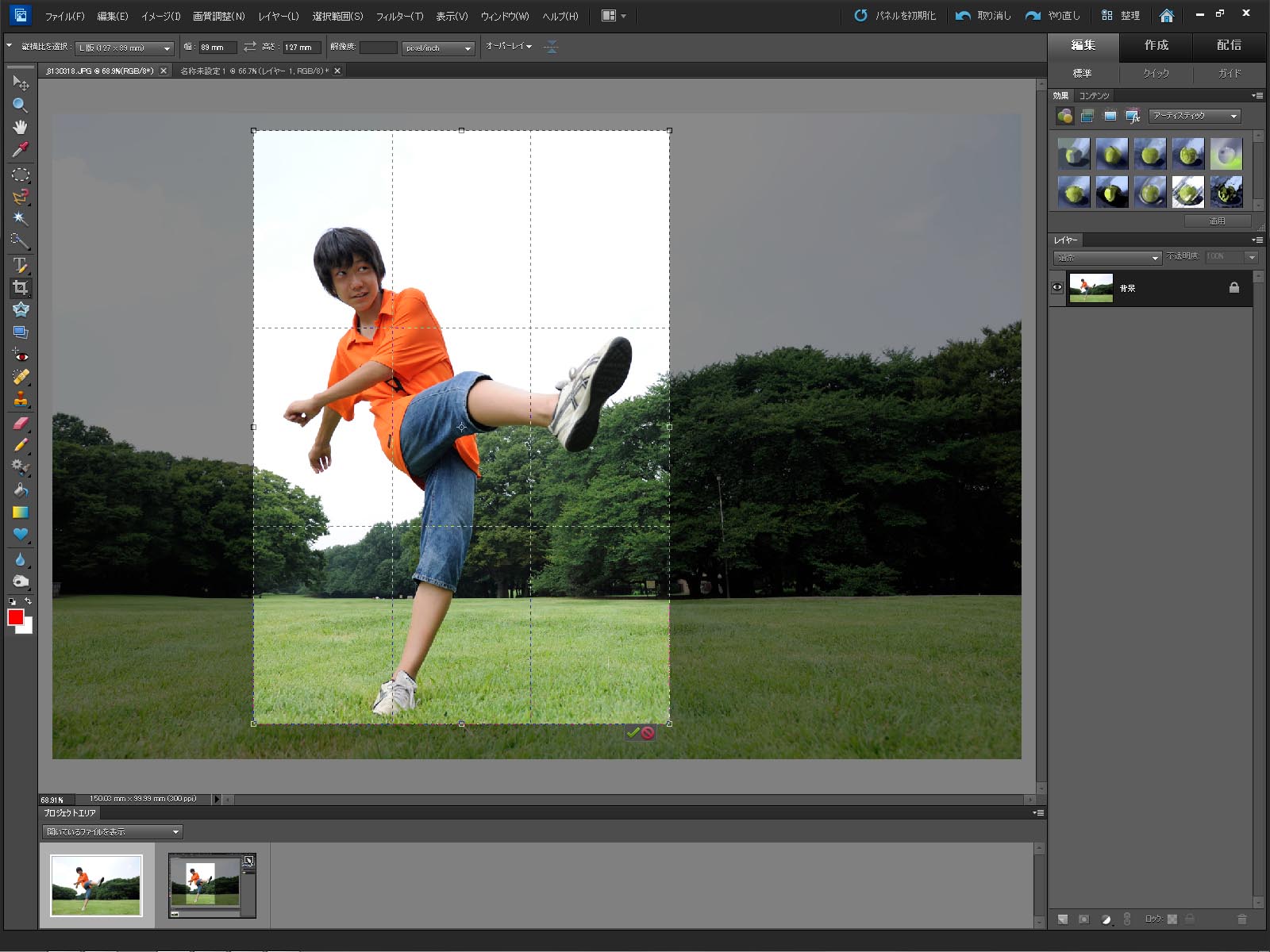 <b>切り抜きガイド</b>