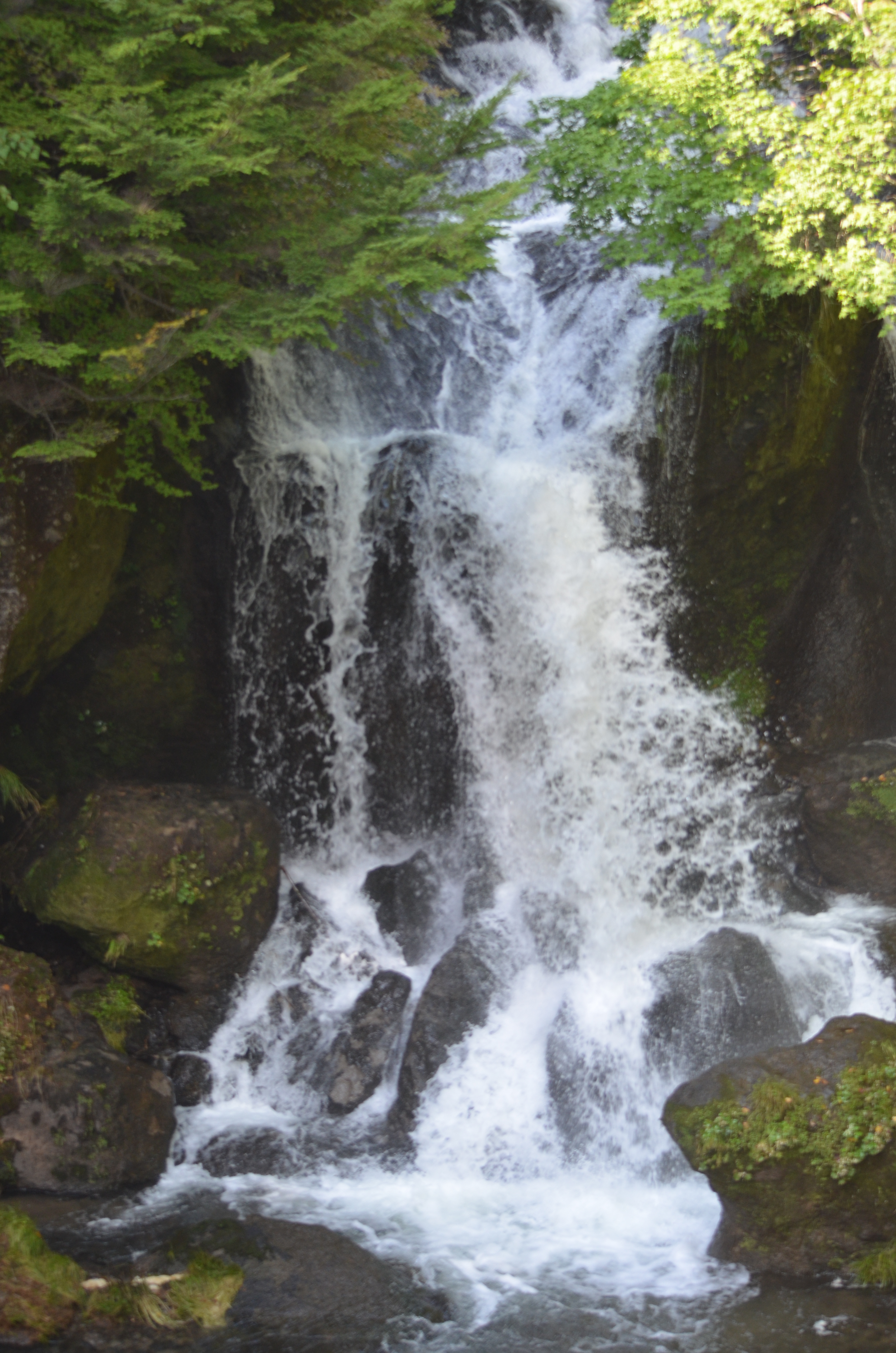 <b>周囲を木々に囲まれ光が射し込まない、やや暗い滝（栃木県日光市・竜頭の滝、下流部分）を撮影。フルオートではストロボが発光するため、「ストロボ発光禁止オート」（左）、「プログラムオート（P）」（中央）のカメラ任せと、「絞り優先オート（AまたはAv）」で絞り込んでスローシャッターで撮影した写真（右）を比べてみよう。発光禁止オートは自動的に感度がISO450に上がり、1/250秒というやや高速シャッターとなった。右の2枚はISO100に設定したが、プログラムオートはプログラムシフトを使わず撮影したため1/50秒で半端な印象。絞り優先オートではさらに絞りをF22に設定したため、1/2.5秒のスローシャッターを切ることができた</b>