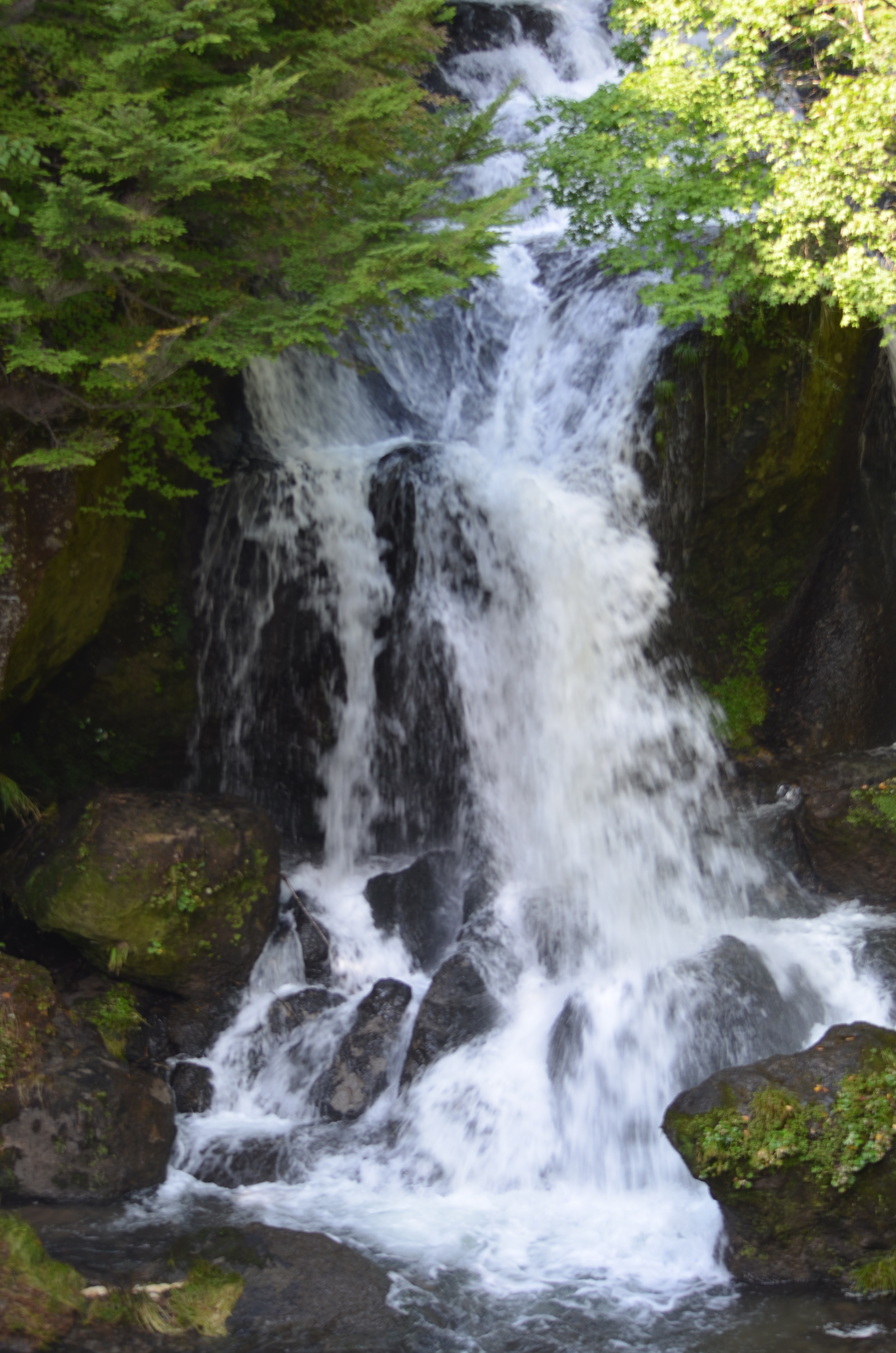 <b>周囲を木々に囲まれ光が射し込まない、やや暗い滝(栃木県日光市・竜頭の滝、下流部分)を撮影。フルオートではストロボが発光するため、「ストロボ発光禁止オート」(左)、「プログラムオート(P)」(中央)のカメラ任せと、「絞り優先オート(AまたはAv)」で絞り込んでスローシャッターで撮影した写真(右)を比べてみよう。発光禁止オートは自動的に感度がISO450に上がり、1/250秒というやや高速シャッターとなった。右の2枚はISO100に設定したが、プログラムオートはプログラムシフトを使わず撮影したため1/50秒で半端な印象。絞り優先オートではさらに絞りをF22に設定したため、1/2.5秒のスローシャッターを切ることができた</b>