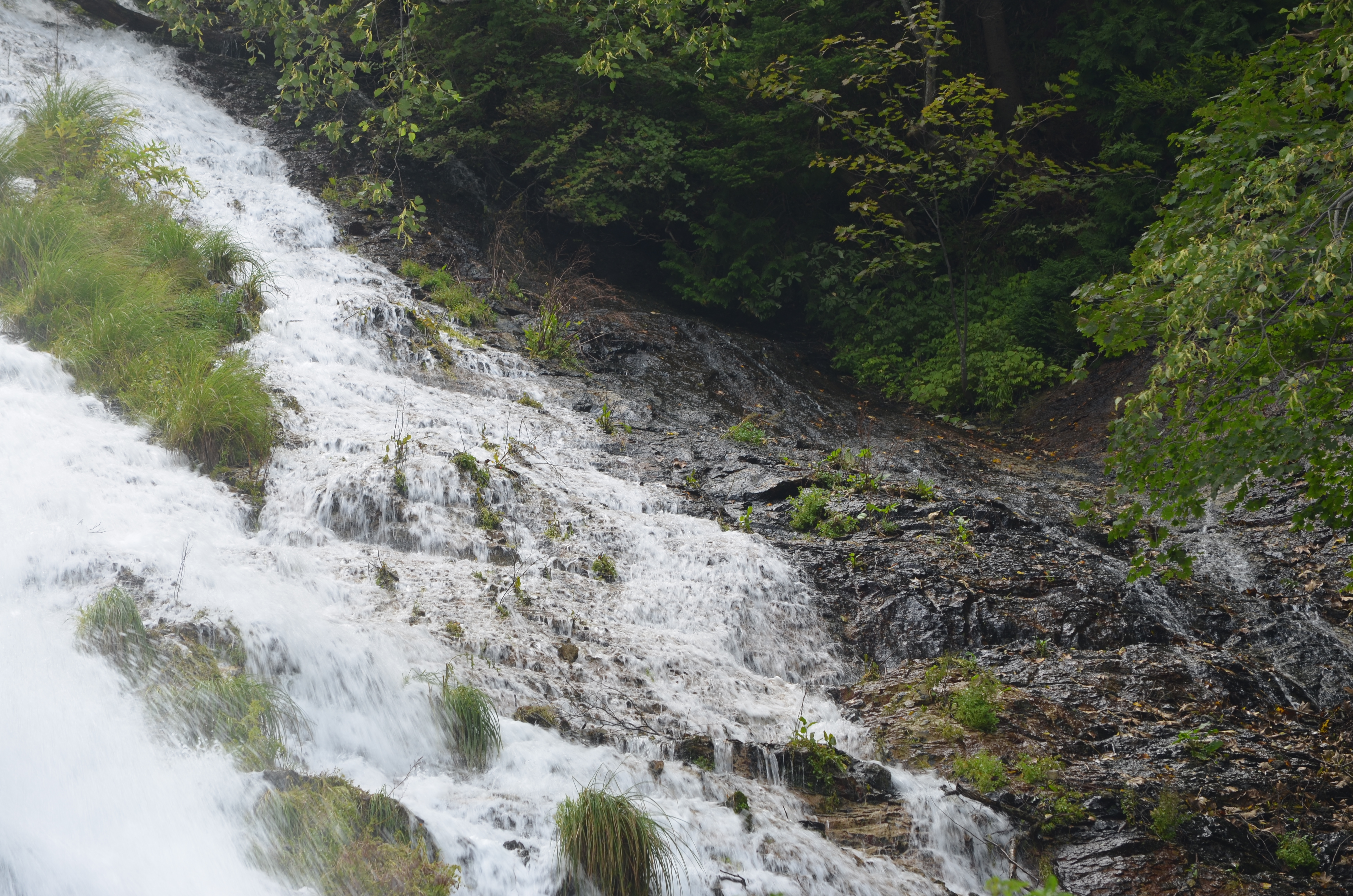 <b>PLフィルターなし</b>