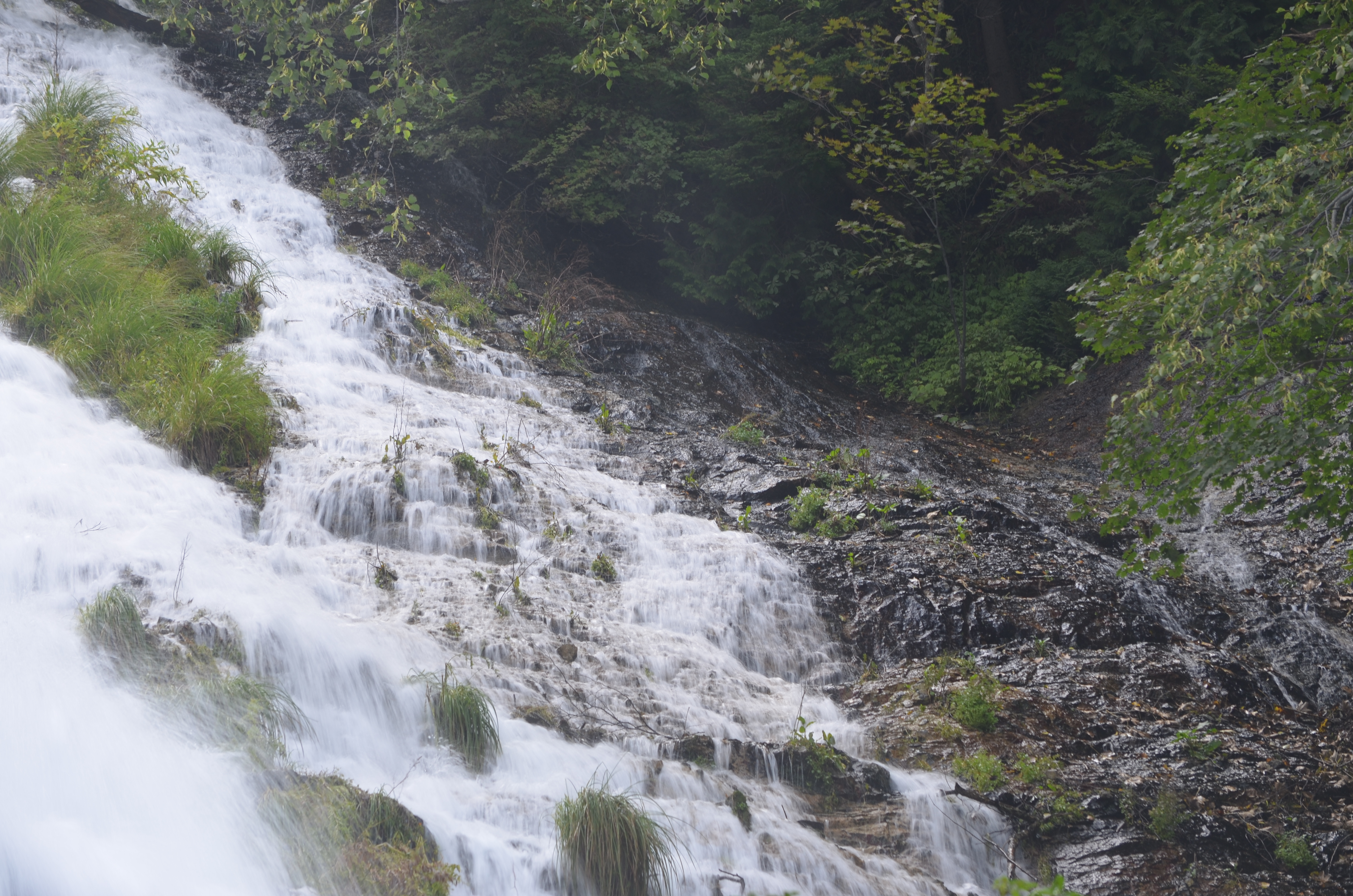 <b>PLフィルター効果50％</b>