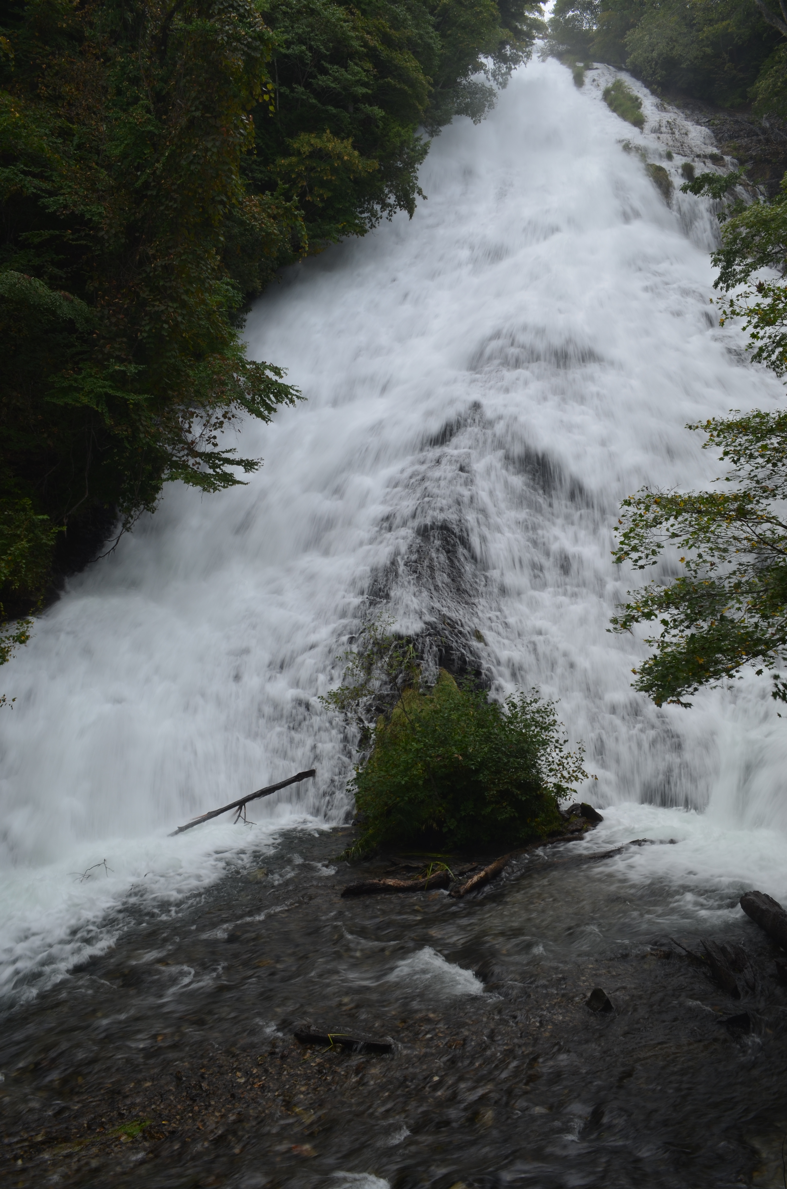 <b>PLフィルターなし</b>