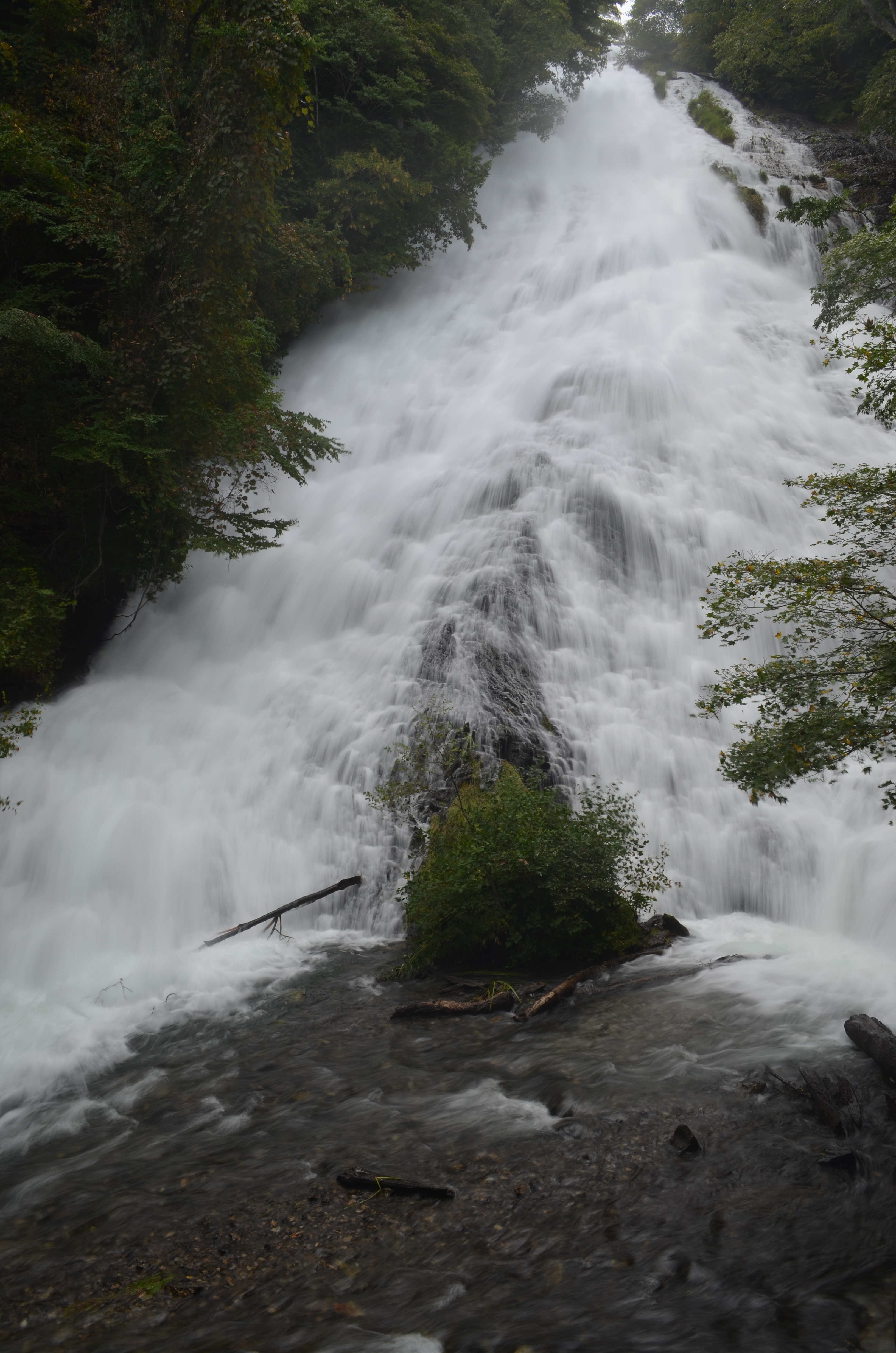 <b>PLフィルター効果50％</b>