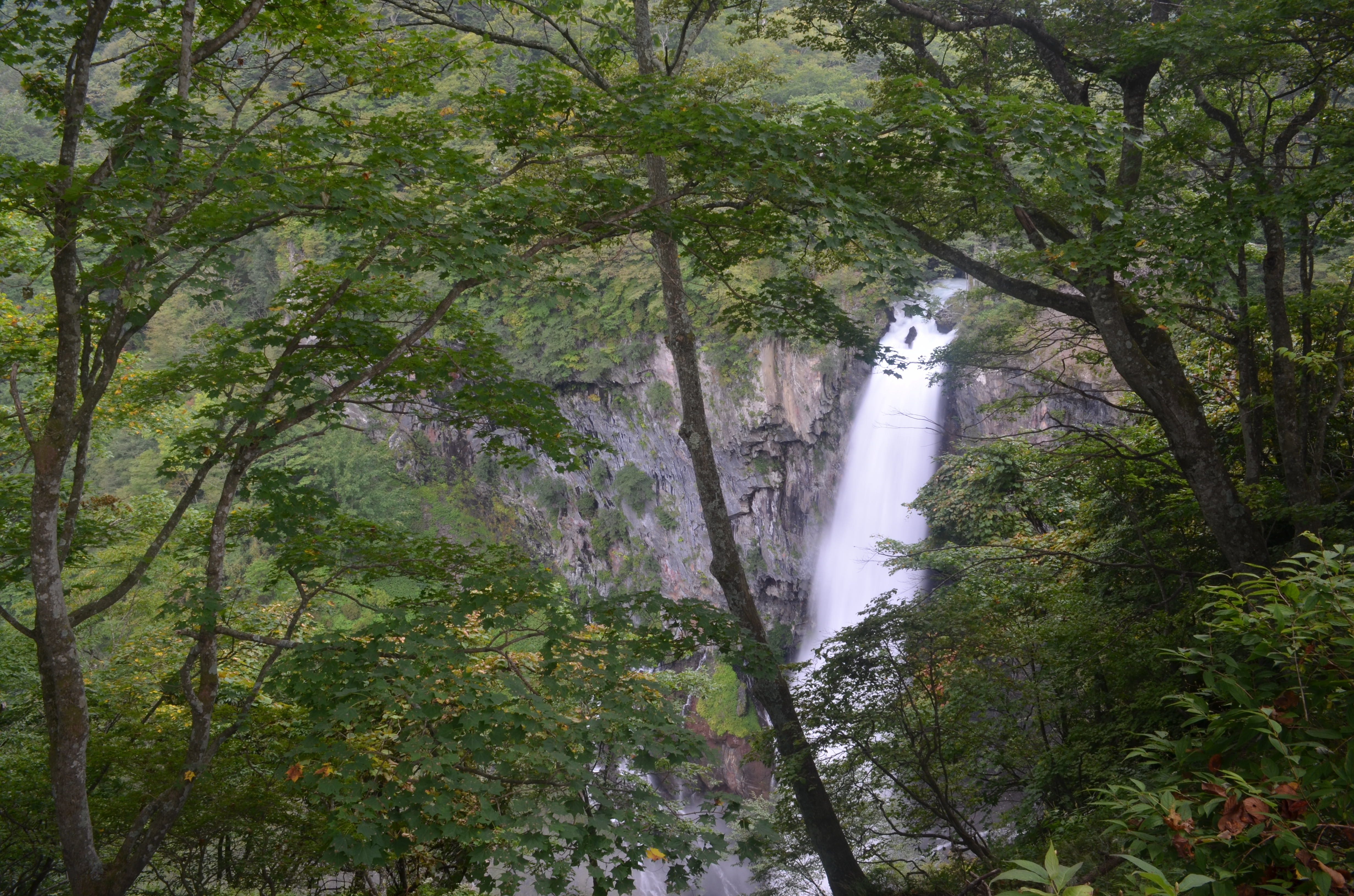 <b>手前に木々のシルエットを入れると、画面が引き締まり奥行き感も表現できる。画面に写る滝の大きさによって、ひっそりとたたずむ雰囲気を表現したり、豪快な印象を表現できる。写す大きさや表現したい印象によって撮影者がシャッター速度をコントロールすることが大事だ</b>