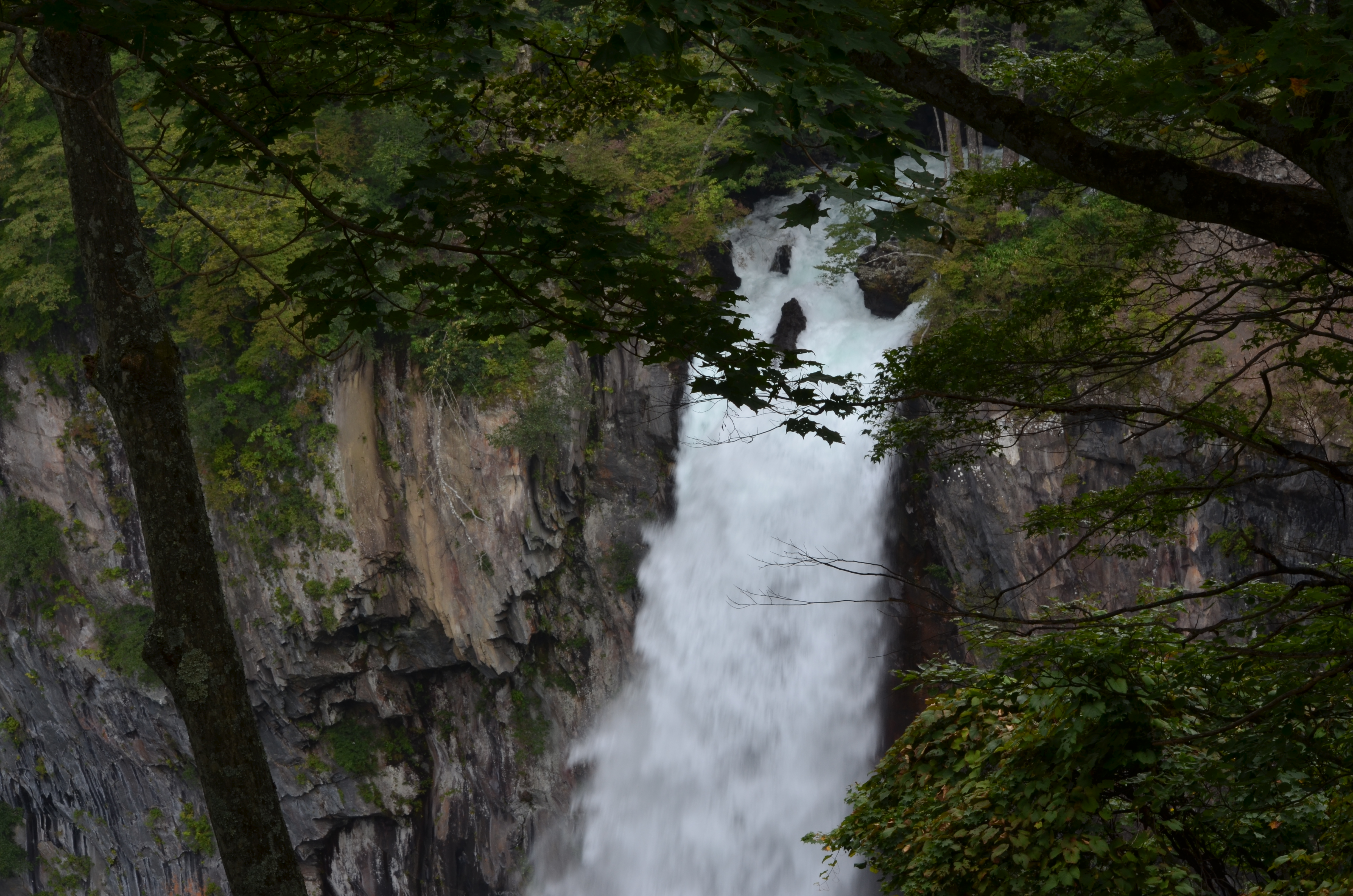 <b>手前に木々のシルエットを入れると、画面が引き締まり奥行き感も表現できる。画面に写る滝の大きさによって、ひっそりとたたずむ雰囲気を表現したり、豪快な印象を表現できる。写す大きさや表現したい印象によって撮影者がシャッター速度をコントロールすることが大事だ</b>