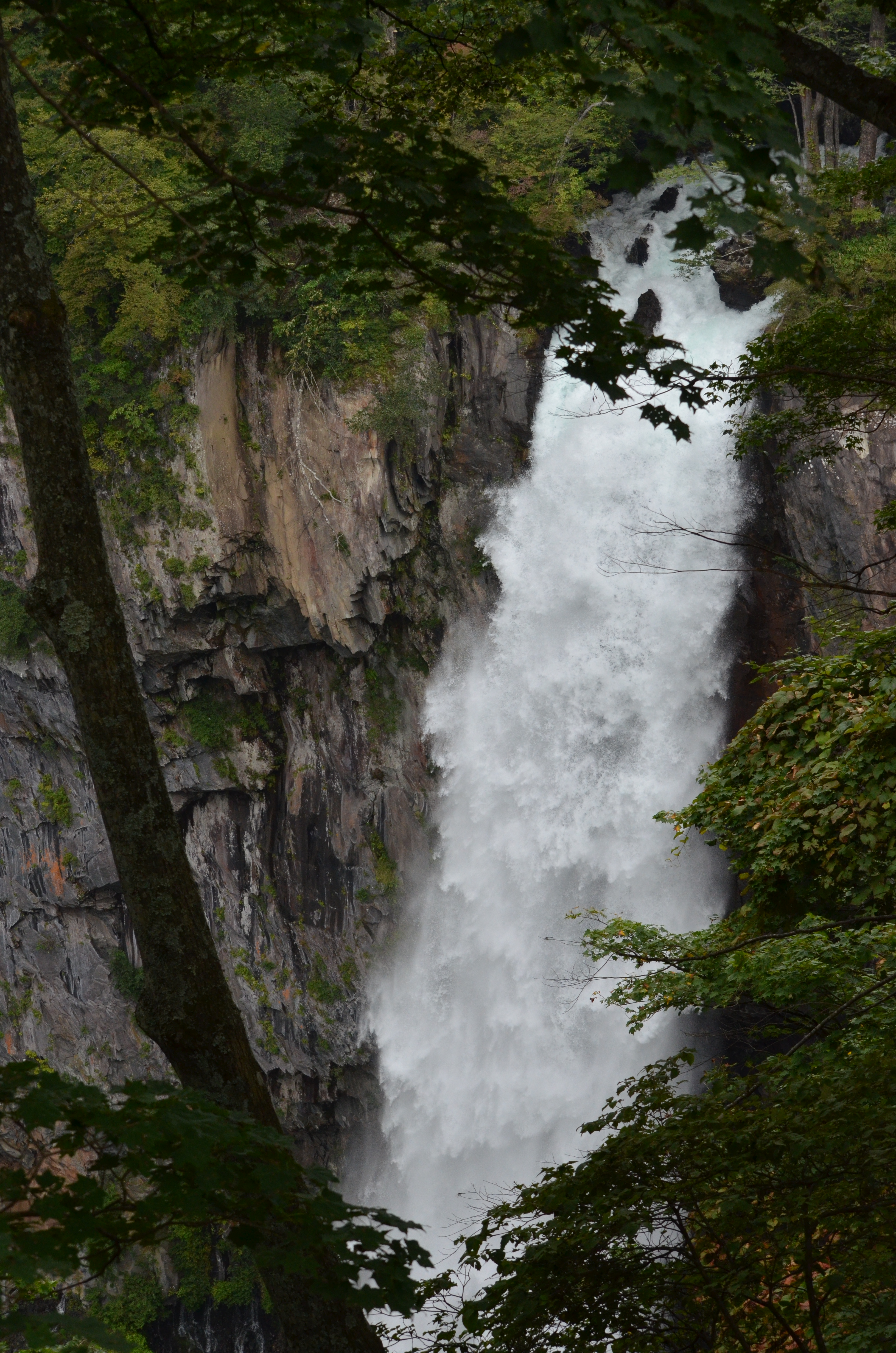 <b>縦位置で水の流れを大きく写し込んでみた</b>