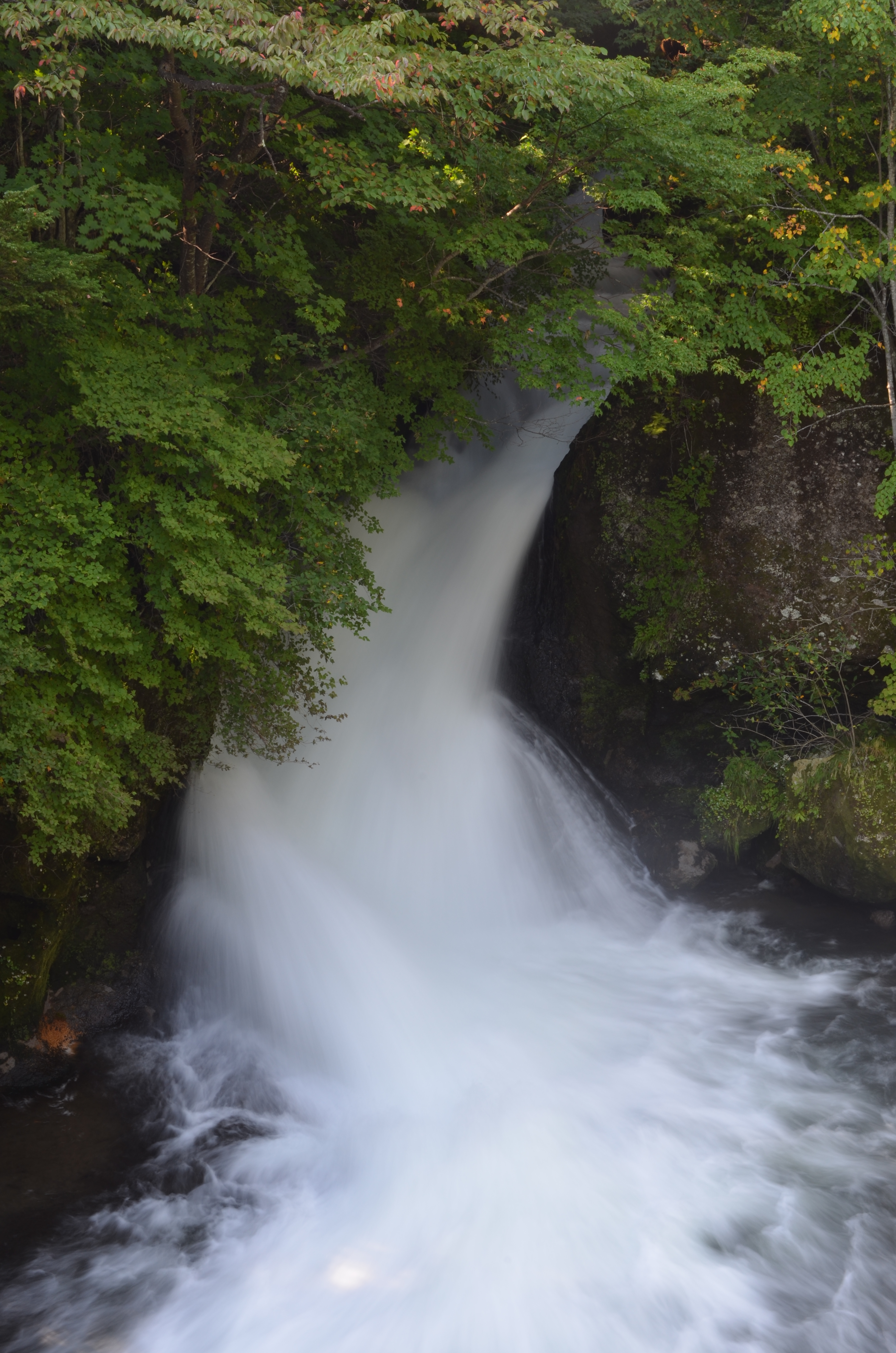 <b>基準の露出を「露出補正+0.3」としたが、現場での判断がつかなかったためAEBを使って撮影しておき、帰宅後パソコンのモニターを見てセレクトしようと考えた。補正値の幅は0.3ステップに設定し、3カットを連続撮影した。左から基準露出、-0.3、+0.3</b>