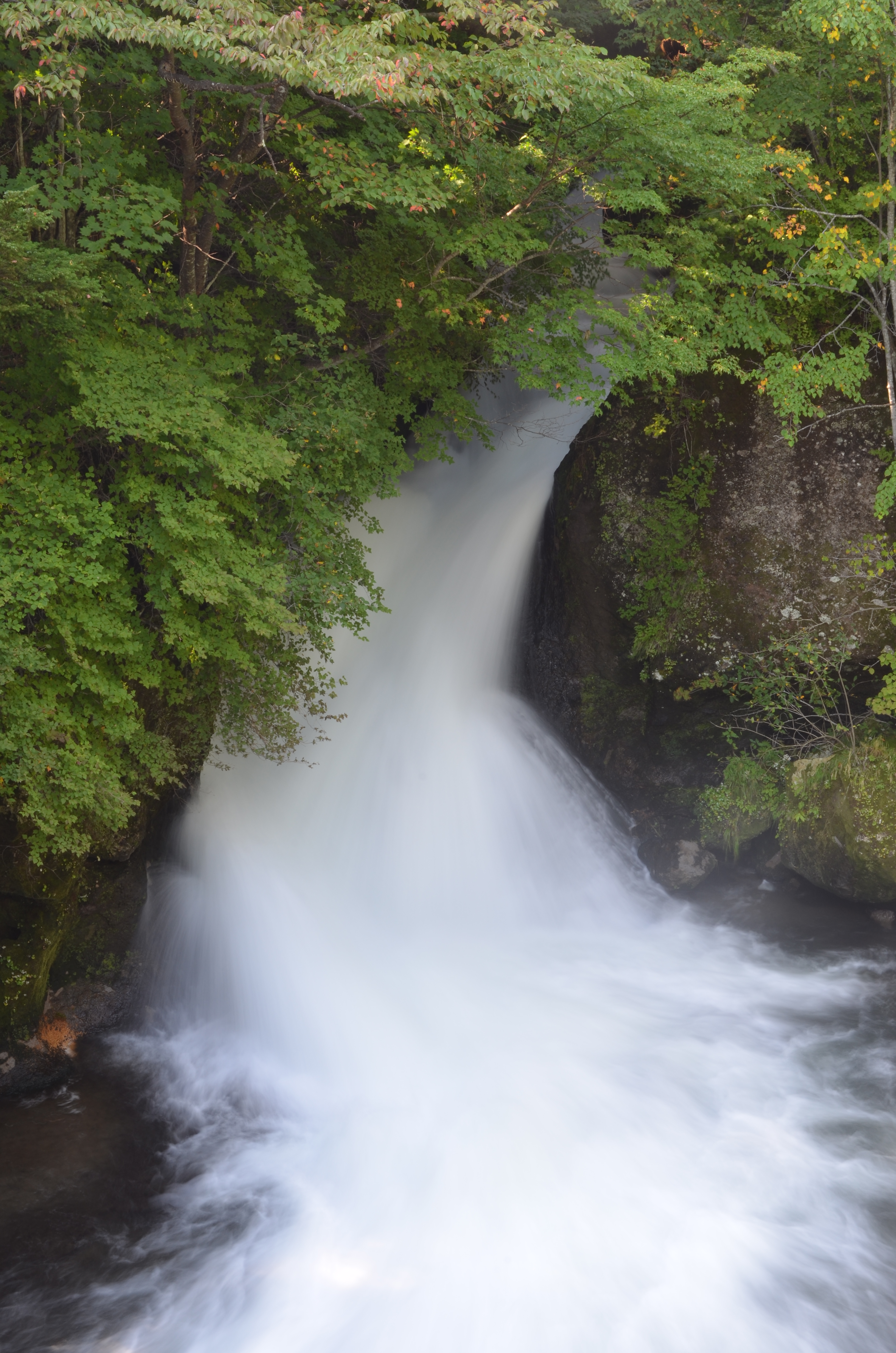 <b>基準の露出を「露出補正+0.3」としたが、現場での判断がつかなかったためAEBを使って撮影しておき、帰宅後パソコンのモニターを見てセレクトしようと考えた。補正値の幅は0.3ステップに設定し、3カットを連続撮影した。左から基準露出、-0.3、+0.3</b>
