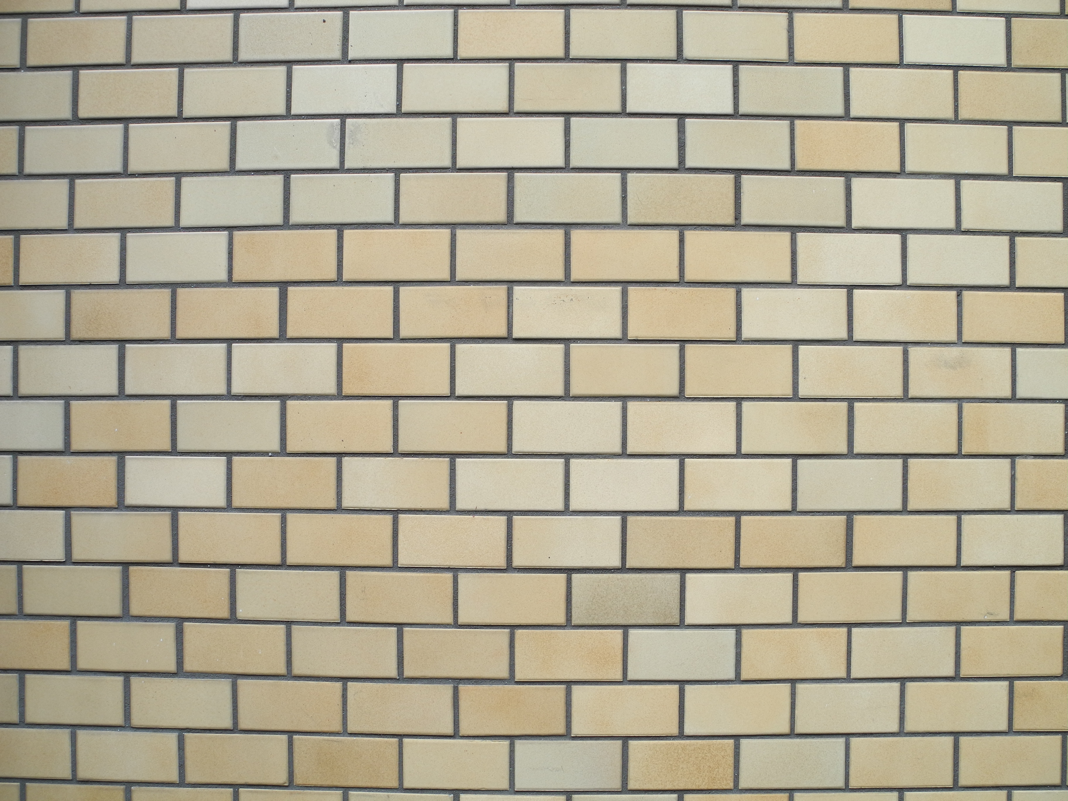 <b>広角端 / F4 / COOLPIX P7100 / 約2.4MB / 3,648×2,736 / 1/25秒 / +0.3EV / ISO110 / WB:オート / 6mm</b>