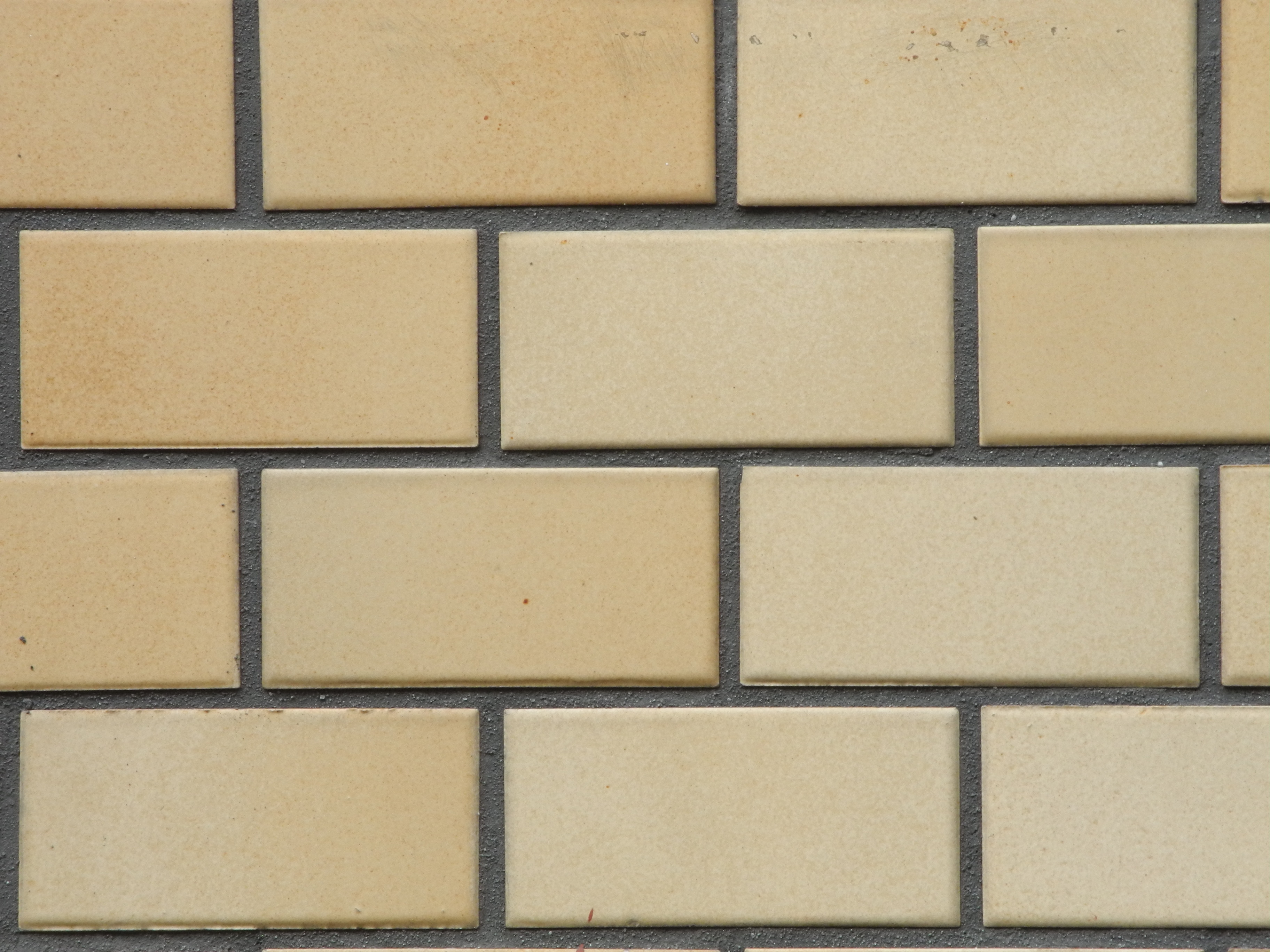 <b>望遠端 / F8 / COOLPIX P7100 / 約2.2MB / 3,648×2,736 / 1/30秒 / F8 / +0.3EV / ISO400 / WB:オート / 42.6mm</b>