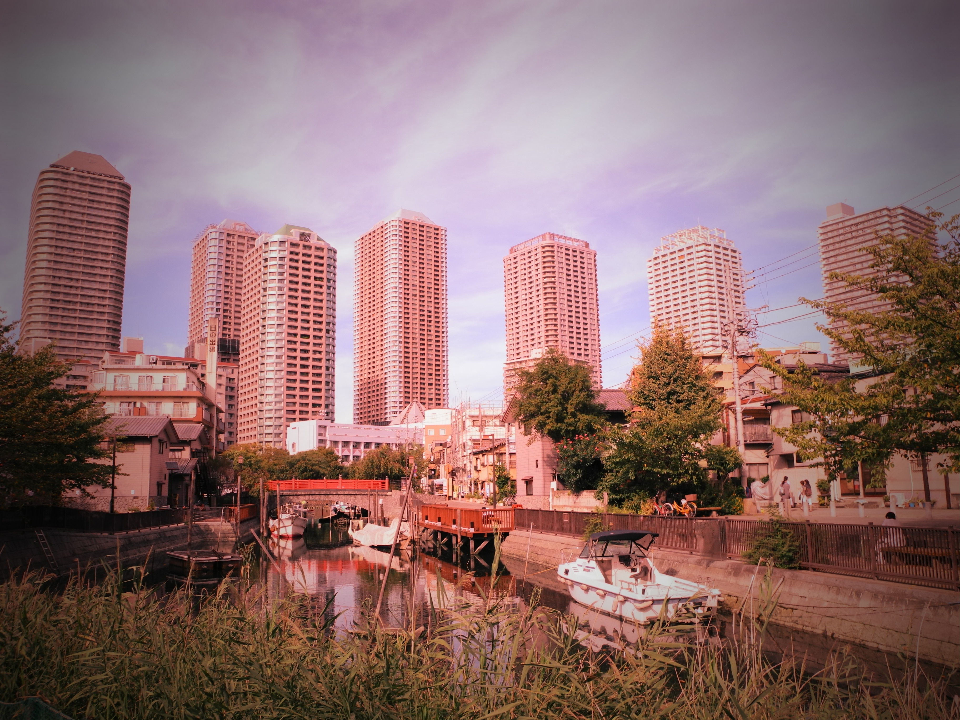 <b>スペシャルエフェクト:クロスプロセス / COOLPIX P7100 / 約2.4MB / 3,648×2,736 / 1/800秒 / F3.5 / 0.0EV / ISO100 / WB:オート / 6mm</b>