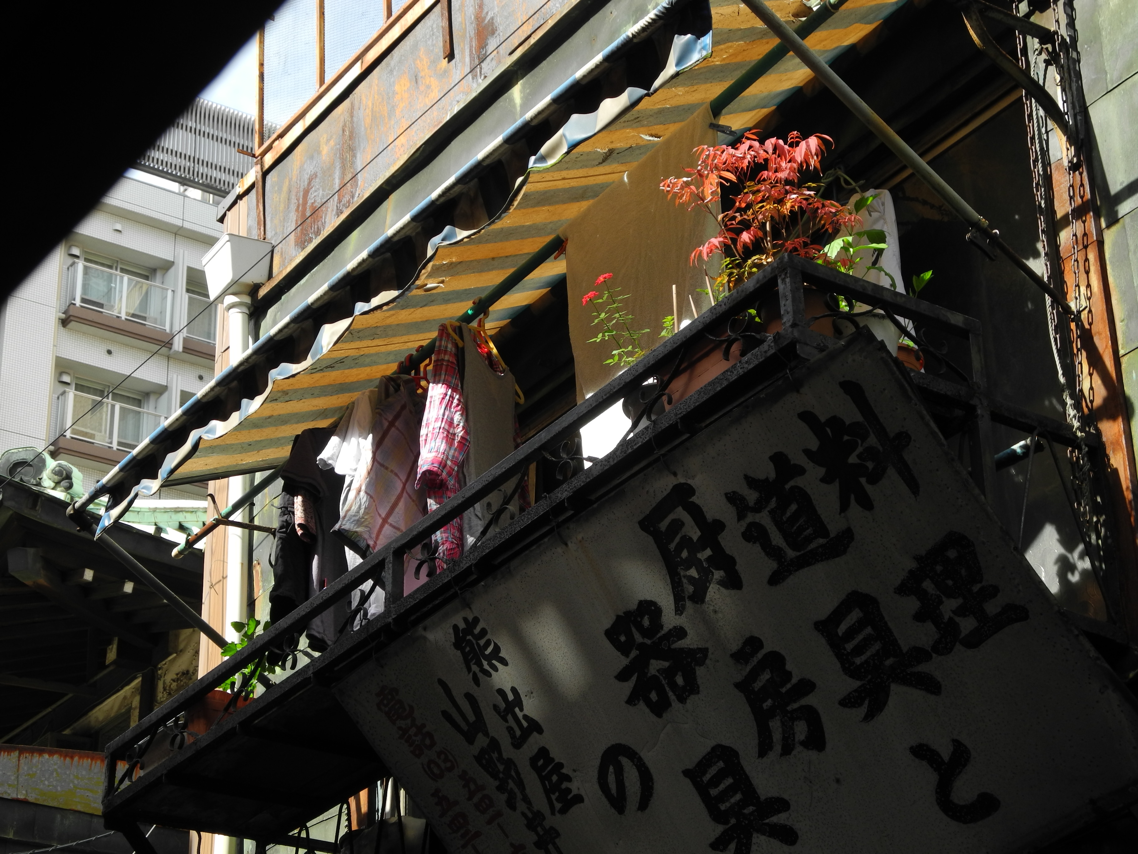 <b>COOLPIX P7100 / 約2.3MB / 3,648×2,736 / 1/320秒 / F4 / -1.3EV / ISO100 / WB:オート / 16.3mm</b>