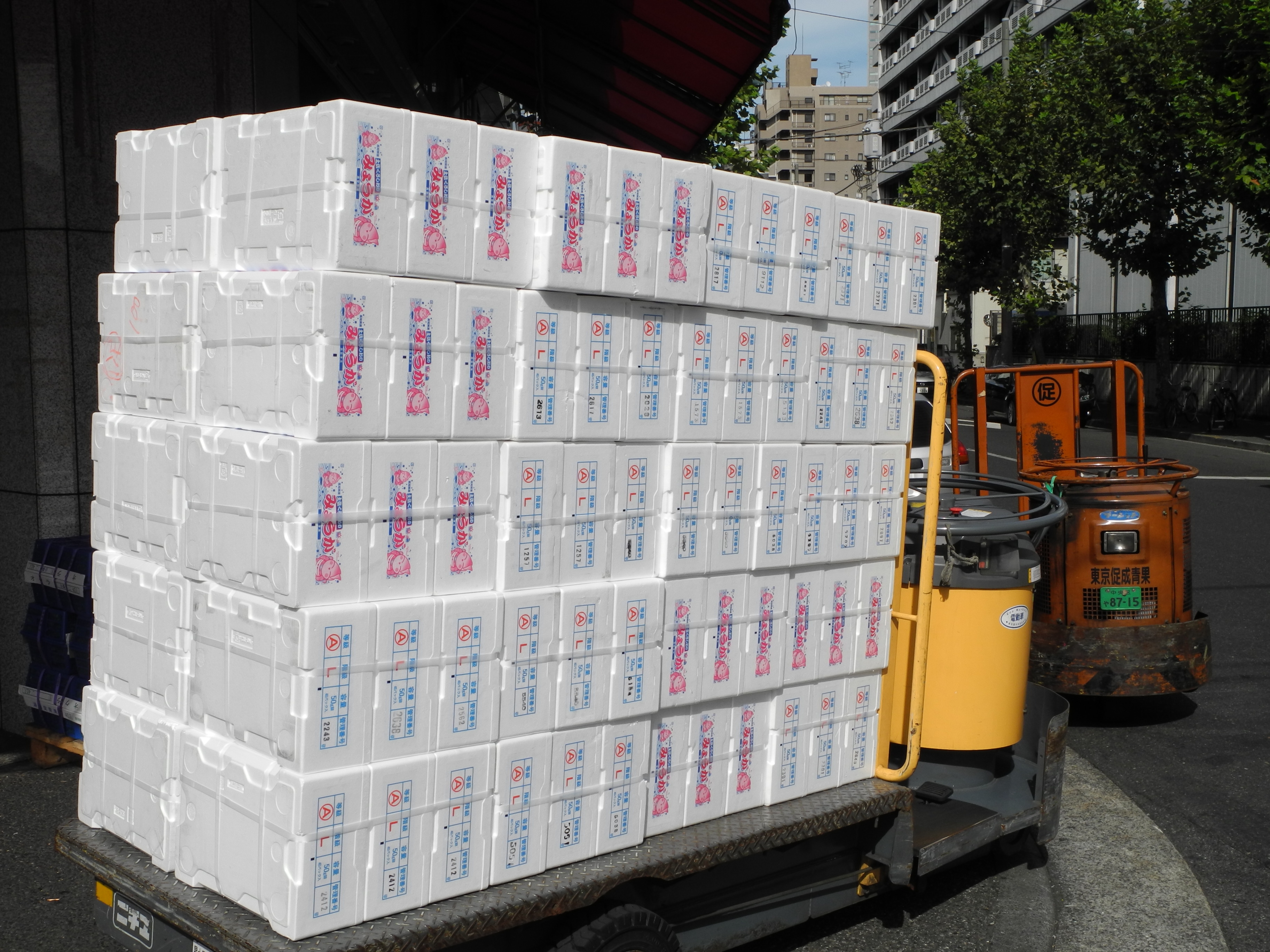 <b>COOLPIX P7100 / 約2.5MB / 3,648×2,736 / 1/800秒 / F6.3 / +0.3EV / ISO100 / WB:オート / 8.8mm</b>