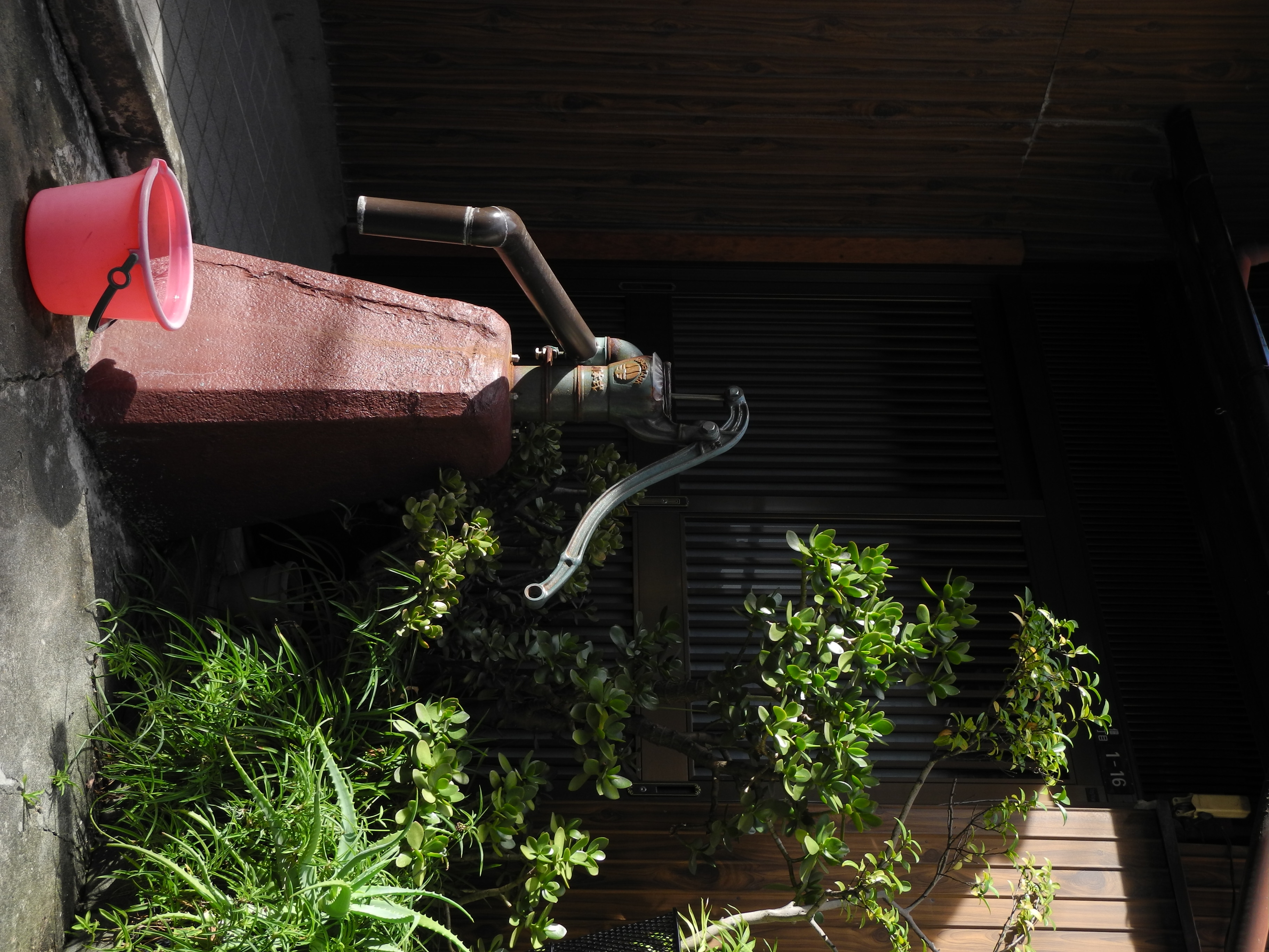 <b>COOLPIX P7100 / 約2.1MB / 2,736×3,648 / 1/250秒 / F3.2 / -1.6EV / ISO100 / WB:オート / 9.7mm</b>