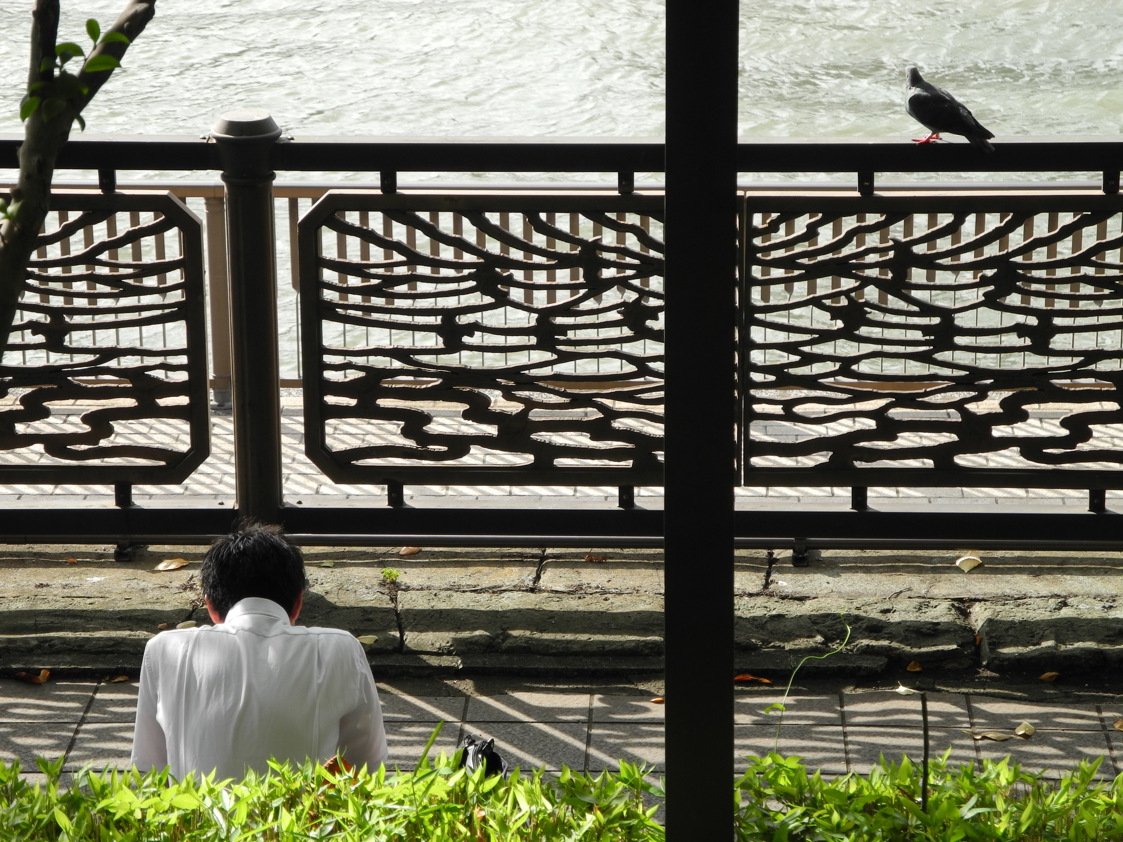 <b>COOLPIX P7100 / 約2.2MB / 3,648×2,736 / 1/200秒 / F4.5 / 0.0EV / ISO100 / WB:オート / 25.4mm</b>