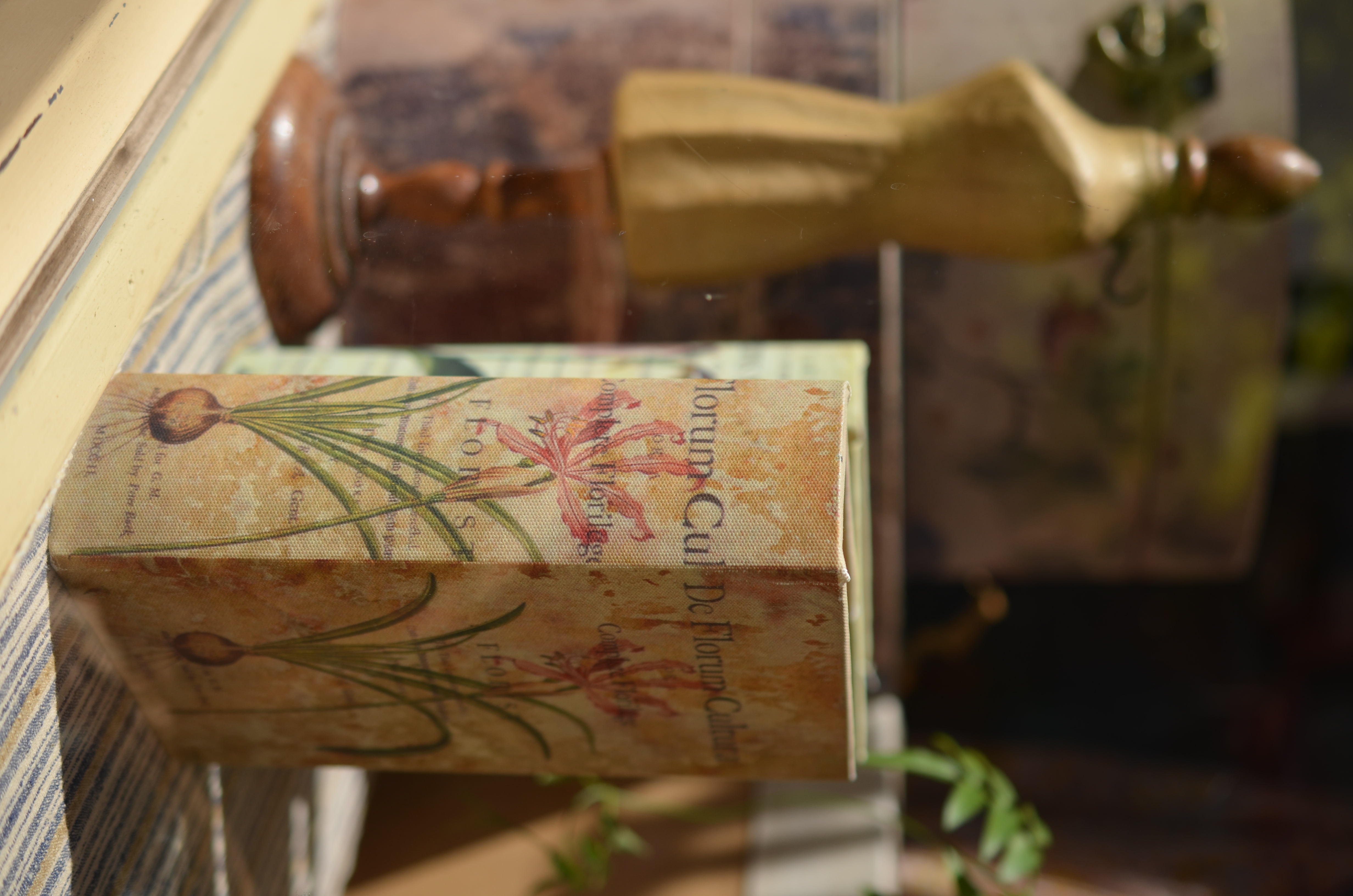 <b>D7000 / AF-S DX Micro NIKKOR 40mm F2.8 G / 約5.2MB / 3,264×4,928 / 1/2,000秒 / F3 / 0.0EV / ISO100 / WB:晴天 / 40mm</b>