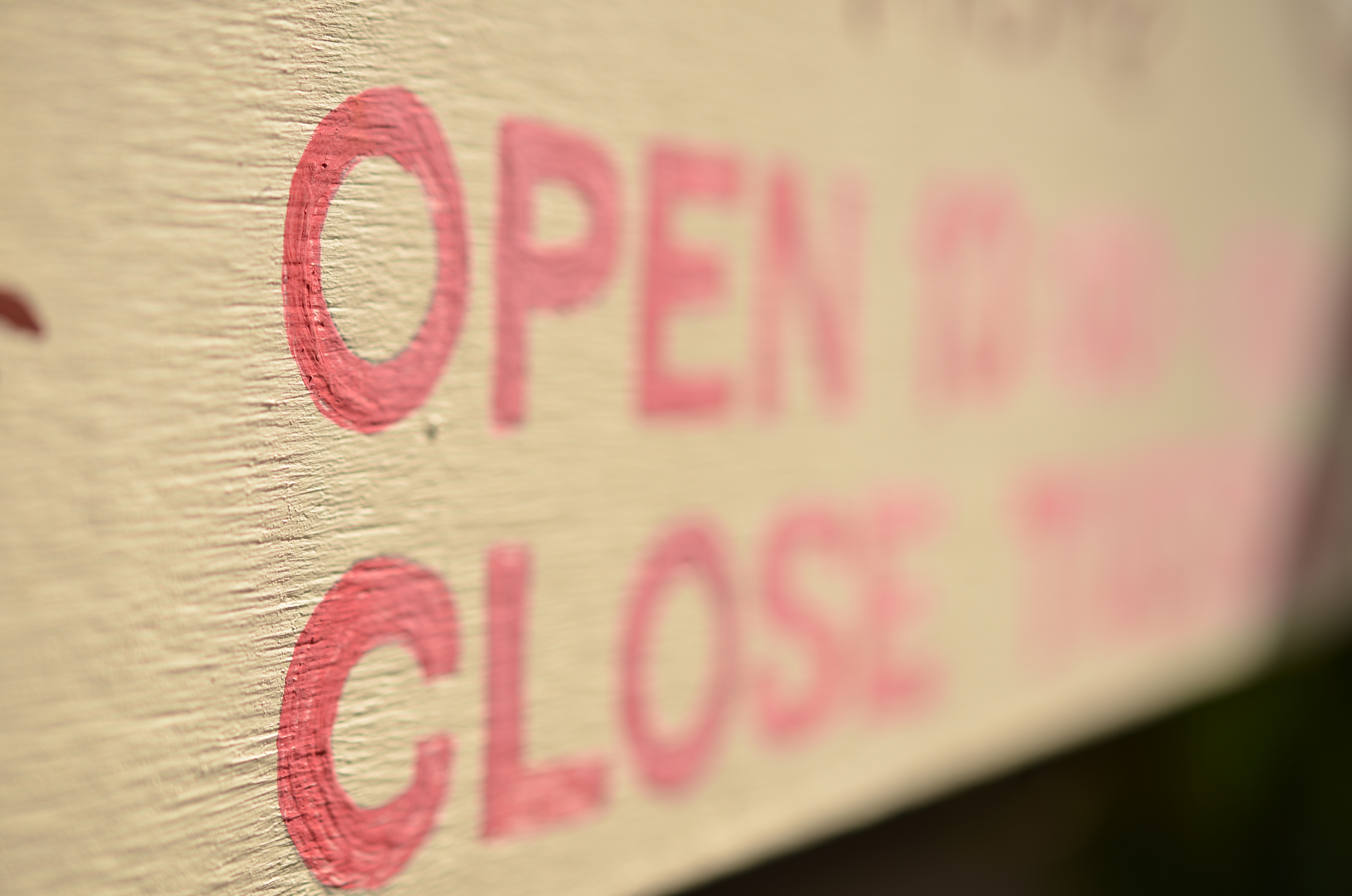 <b>D7000 / AF-S DX Micro NIKKOR 40mm F2.8 G / 約4.1MB / 4,928×3,264 / 1/1,000秒 / F3.5 / +0.7EV / ISO100 / WB:曇天 / 40mm</b>