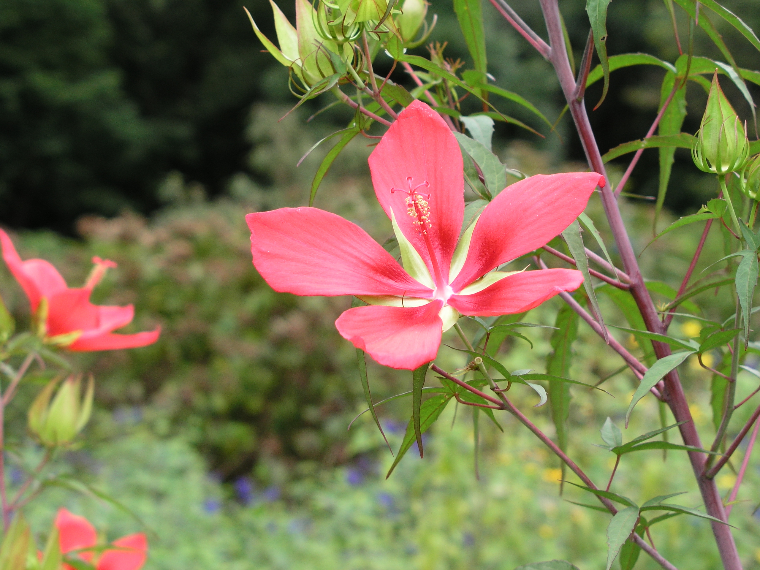 <b>F2.6（絞り開放） / C-5050 ZOOM / 約2.4MB / 2,560×1,920 / 1/100秒 / 0.0EV / ISO64 / WB:晴天 / 21.3mm</b>