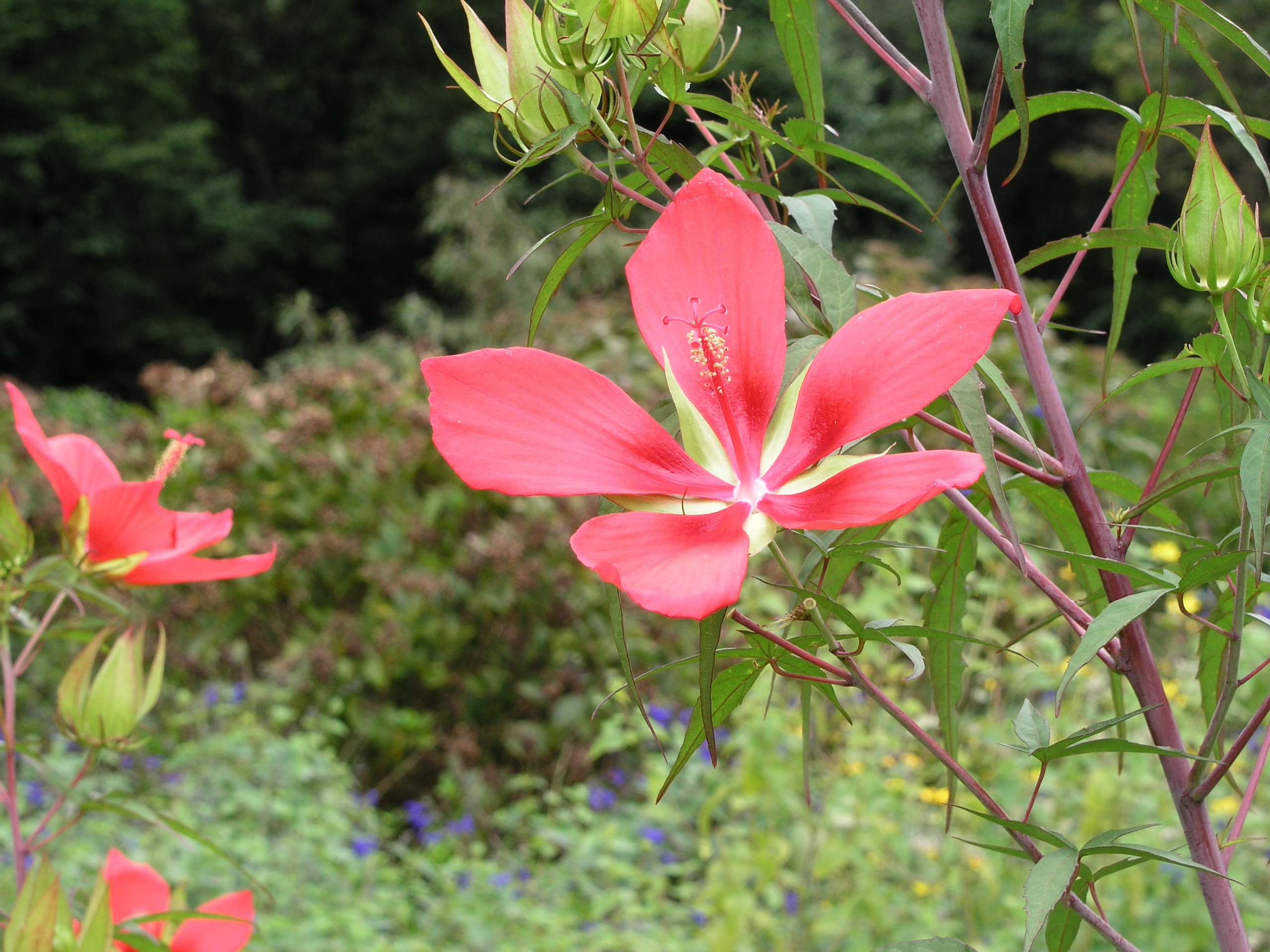 <b>F5 / C-5050 ZOOM / 約2.5MB / 2,560×1,920 / 1/30秒 / 0.0EV / ISO64 / WB:晴天 / 21.3mm</b>