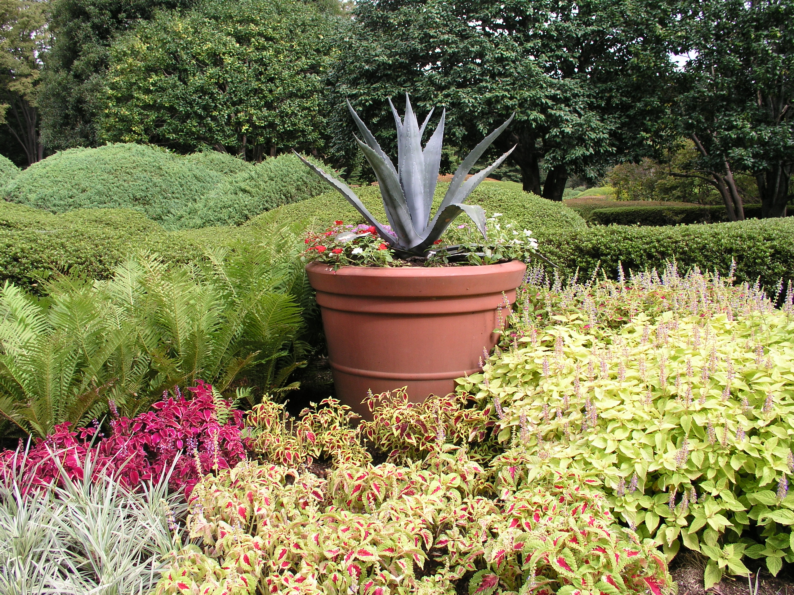 <b>ISO64 / C-5050 ZOOM / 約2.8MB / 2,560×1,920 / 1/125秒 / F4 / 0.0EV / WB:オート / 7.1mm</b>