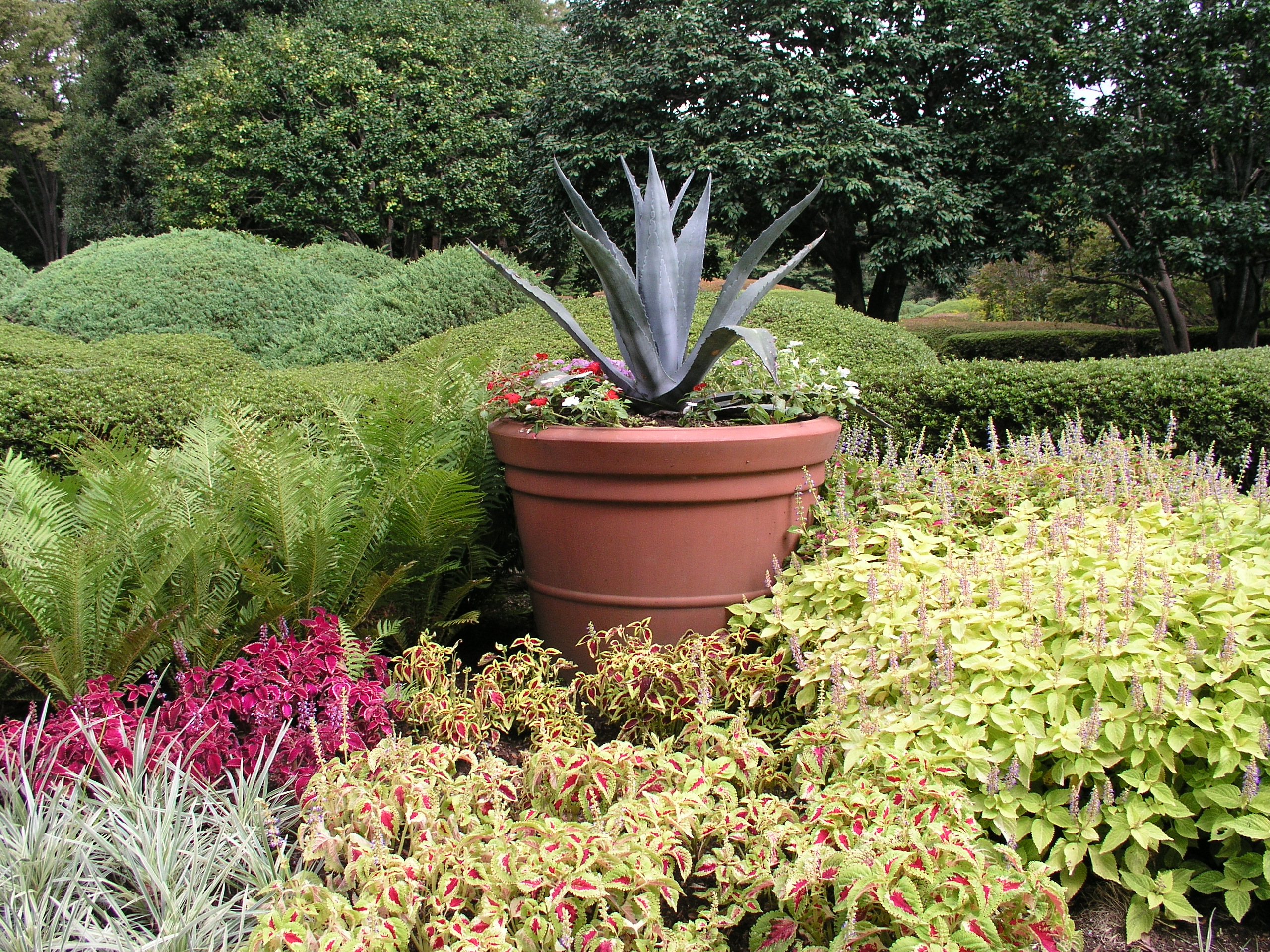 <b>ISO100 / C-5050 ZOOM / 約2.8MB / 2,560×1,920 / 1/200秒 / F4 / 0.0EV / WB:オート / 7.1mm</b>