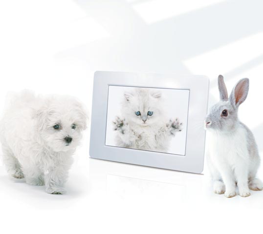 <b>Kodak EasyShare p86デジタルフレーム</b>