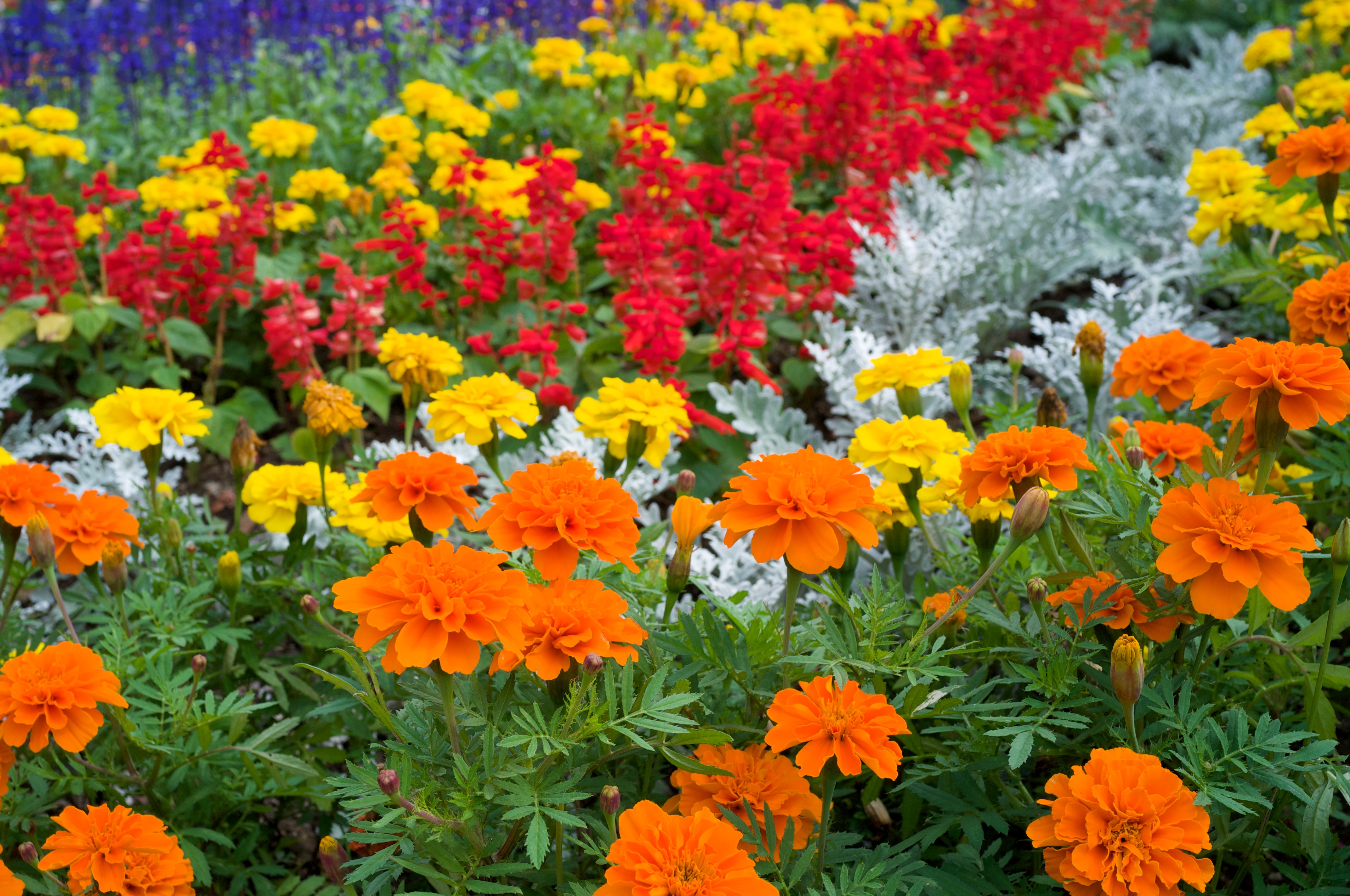 <b>F8 / GXR MOUNT A12 / Biogon T* 2.8/25 ZM / 約3.3MB / 4,288×2,846 / 1/270秒 / 0.0EV / ISO200 / WB:オート / 28mm</b>