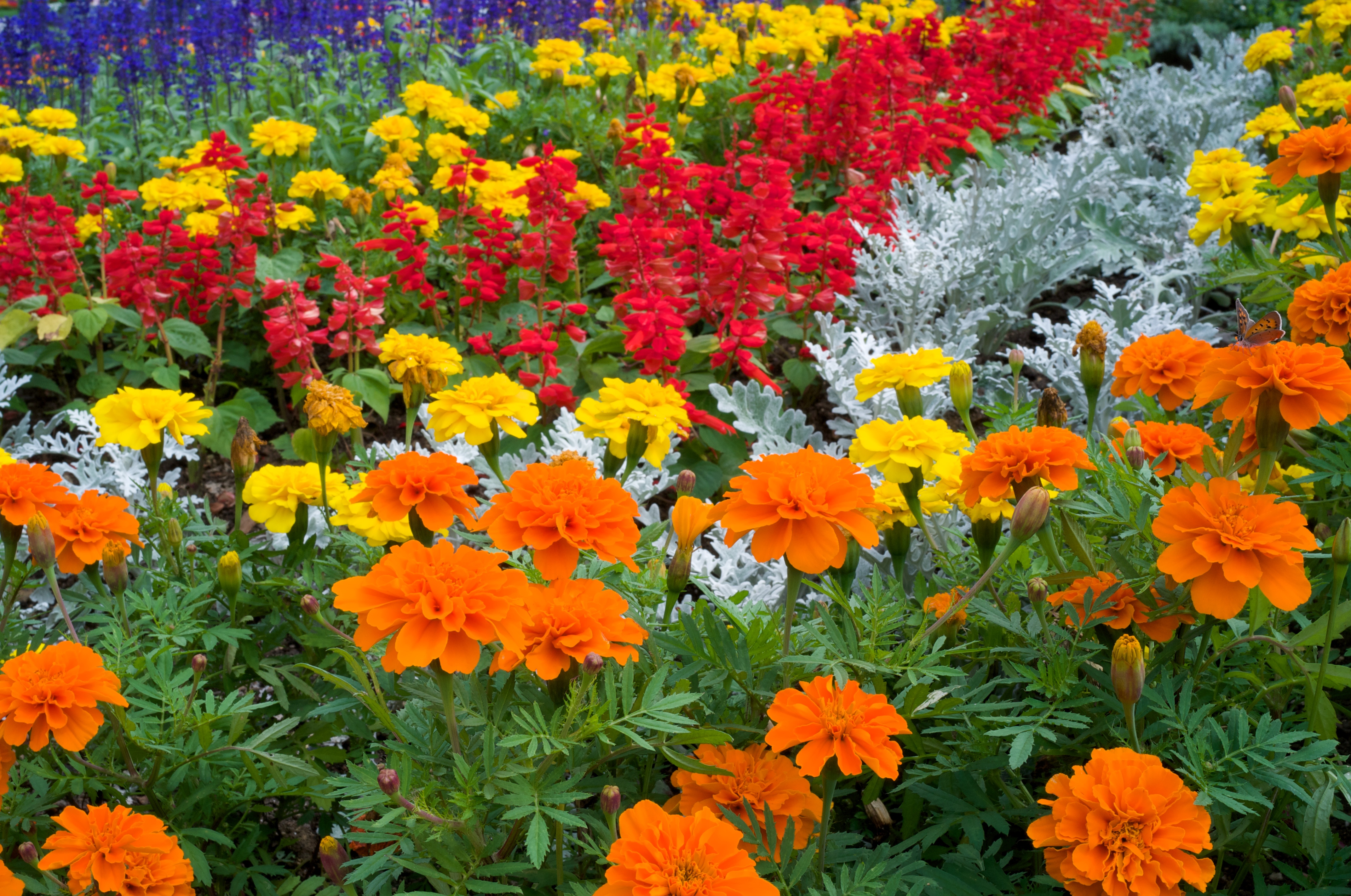 <b>F16 / GXR MOUNT A12 / Biogon T* 2.8/25 ZM / 約3.7MB / 4,288×2,846 / 1/64秒 / 0.0EV / ISO200 / WB:オート / 28mm</b>