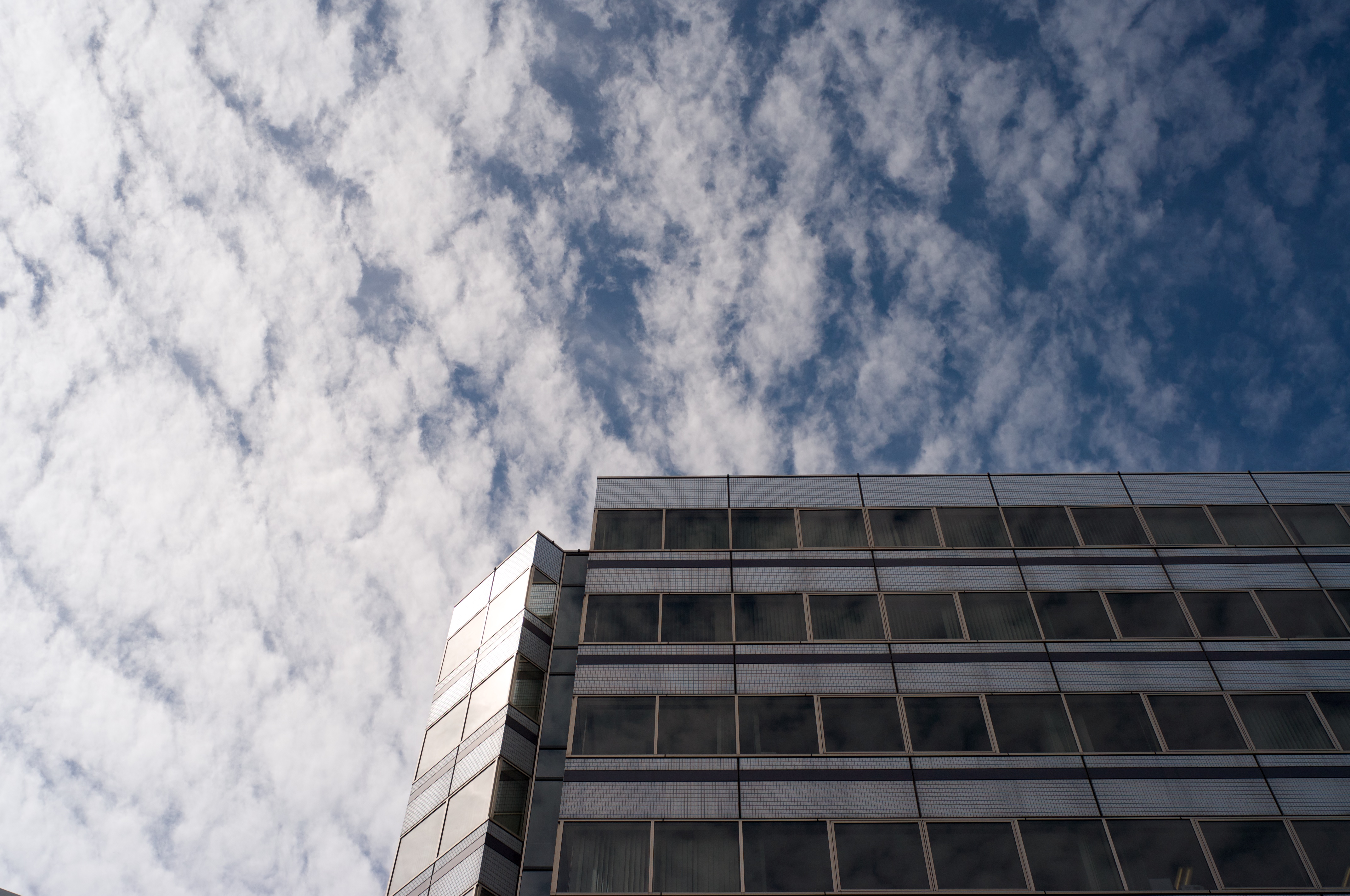 <b>GXR MOUNT A12 / Biogon T* 2.8/25 ZM / 約2.7MB / 4,288×2,846 / 1/4,000秒 / F5.6 / 0.0EV / ISO200 / WB:オート / 25mm</b>