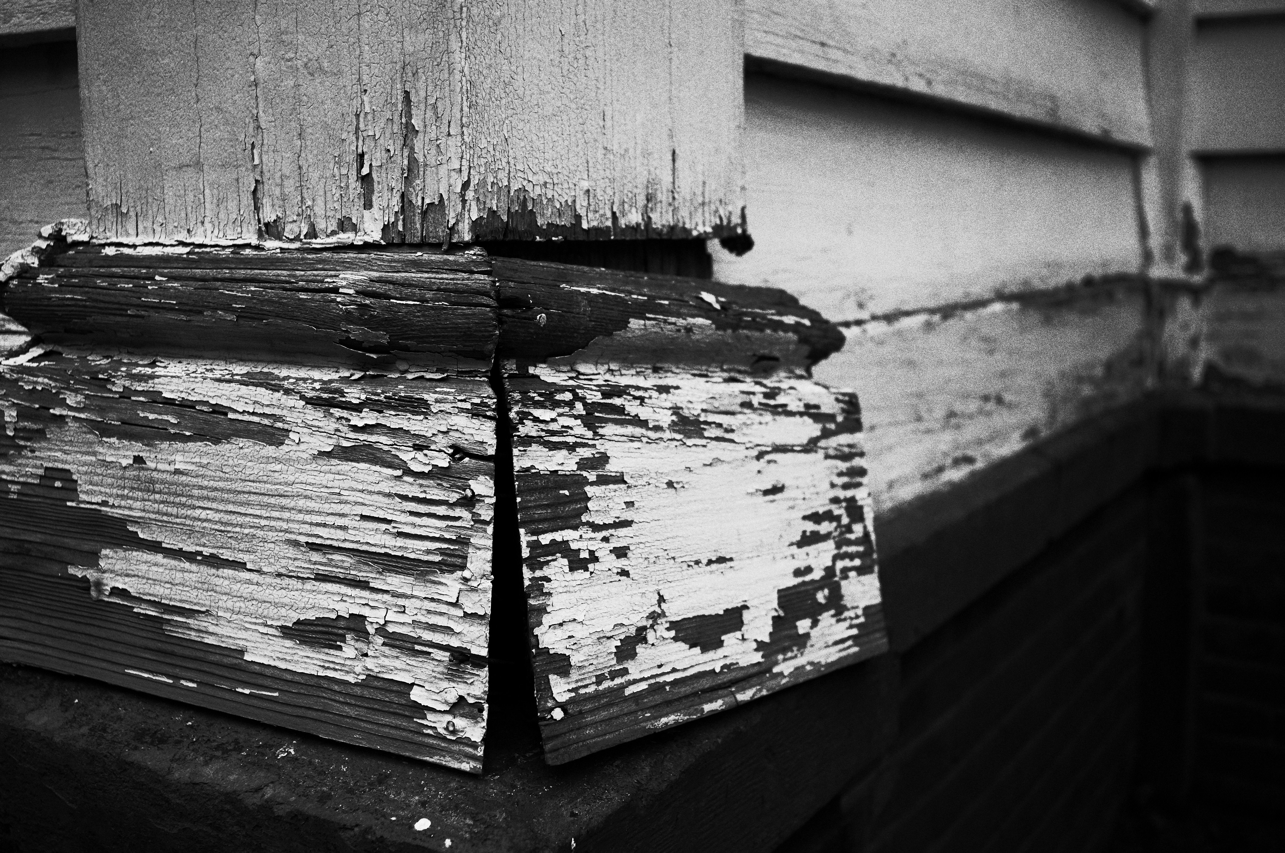 <b>GXR MOUNT A12 / Biogon T* 2.8/25 ZM / 約6.4MB / 4,288×2,848 / 1/153秒 / F4 / 0.0EV / ISO200 / WB:オート / 25mm / ハイコントラスト白黒</b>