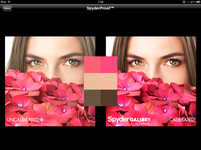 <b>カラープロファイル適用前後の比較が可能</b>