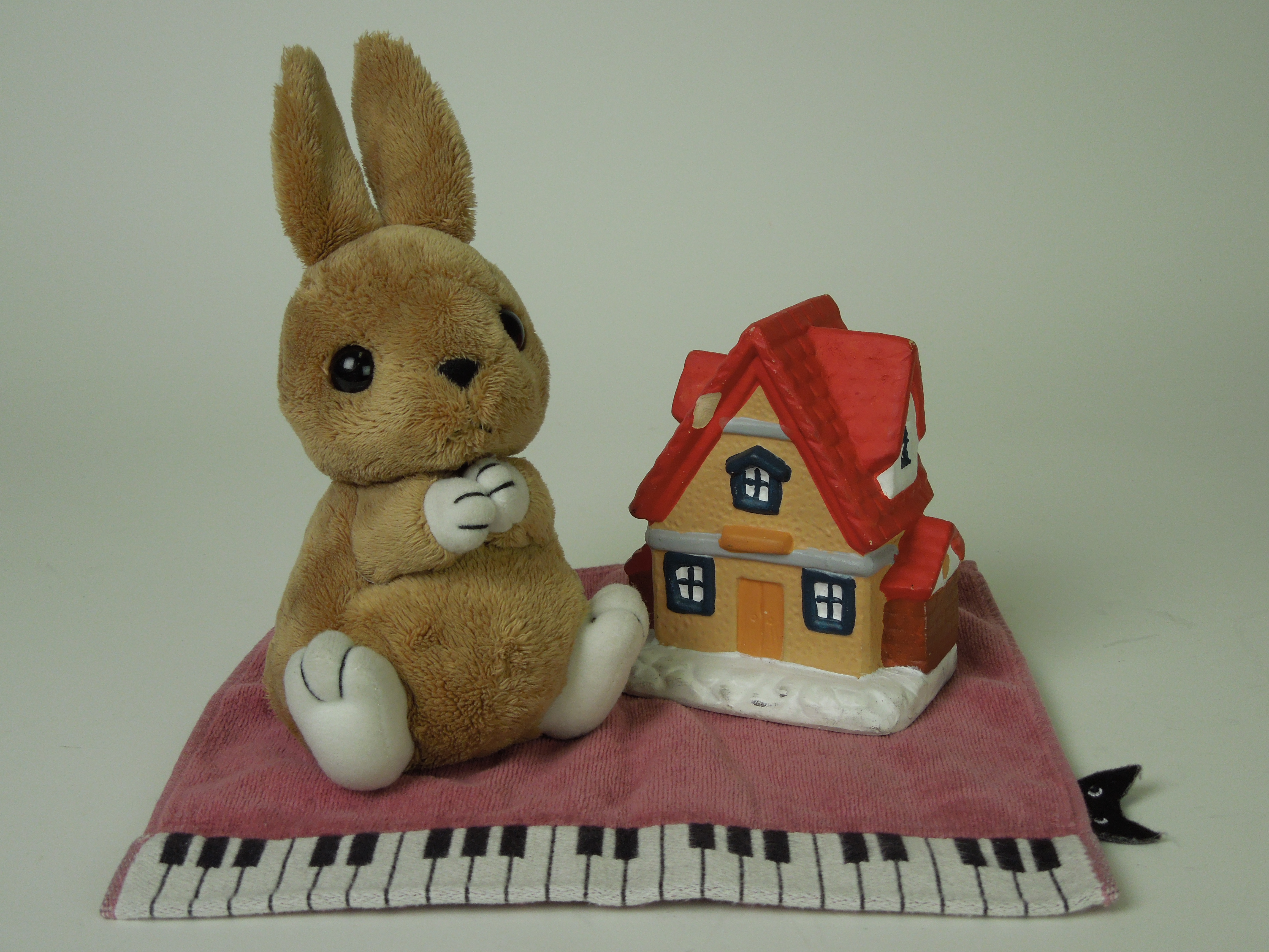 <b>ISO200 / COOLPIX S8200 / 5.2MB / 4,608×3,456 / 1/200秒 / F4 / 0.0EV / WB:オート / 8.7mm</b>