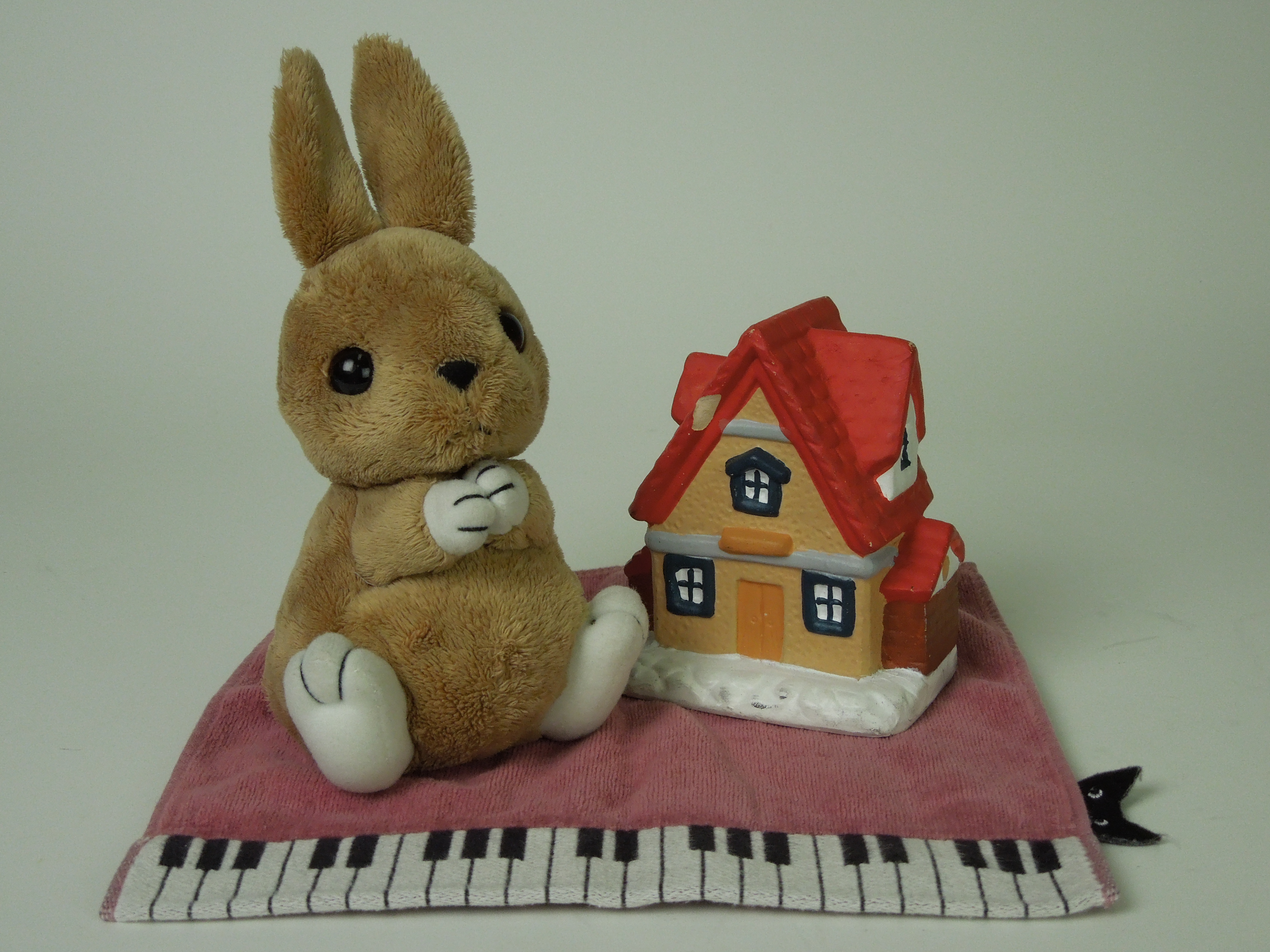 <b>ISO400 / COOLPIX S8200 / 5.2MB / 4,608×3,456 / 1/400秒 / F4 / 0.0EV / WB:オート / 8.7mm</b>